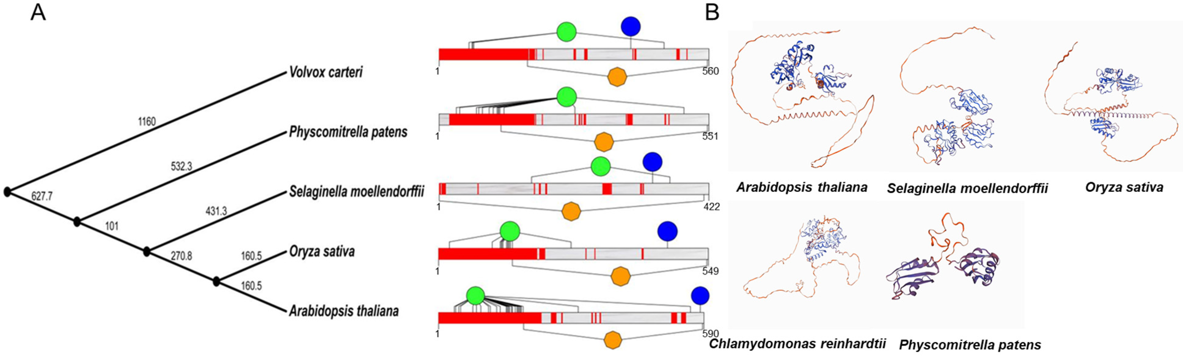 Ijms 26 03901 g002 Ijms 26 03901 g002