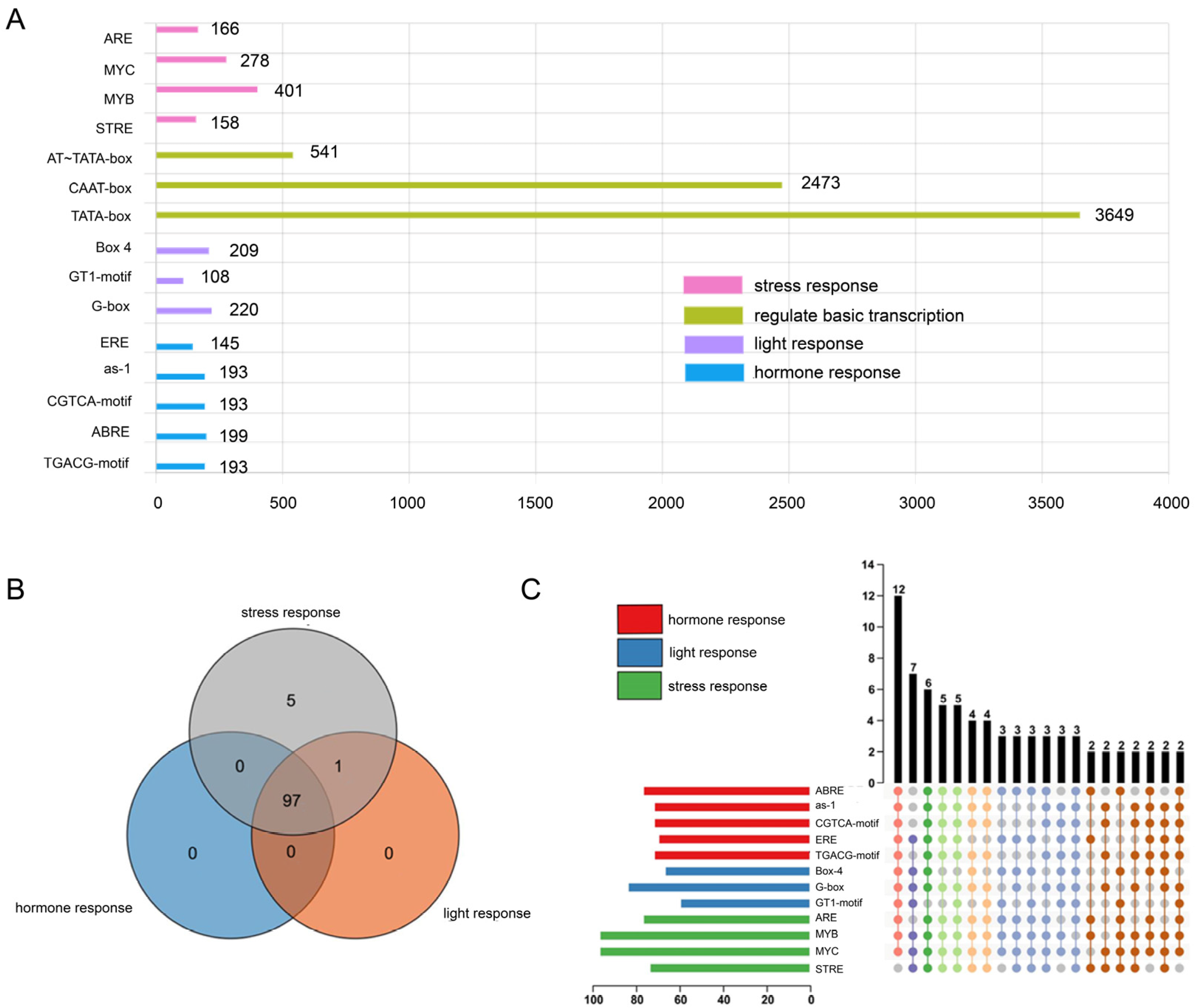 Ijms 26 03901 g003 Ijms 26 03901 g003