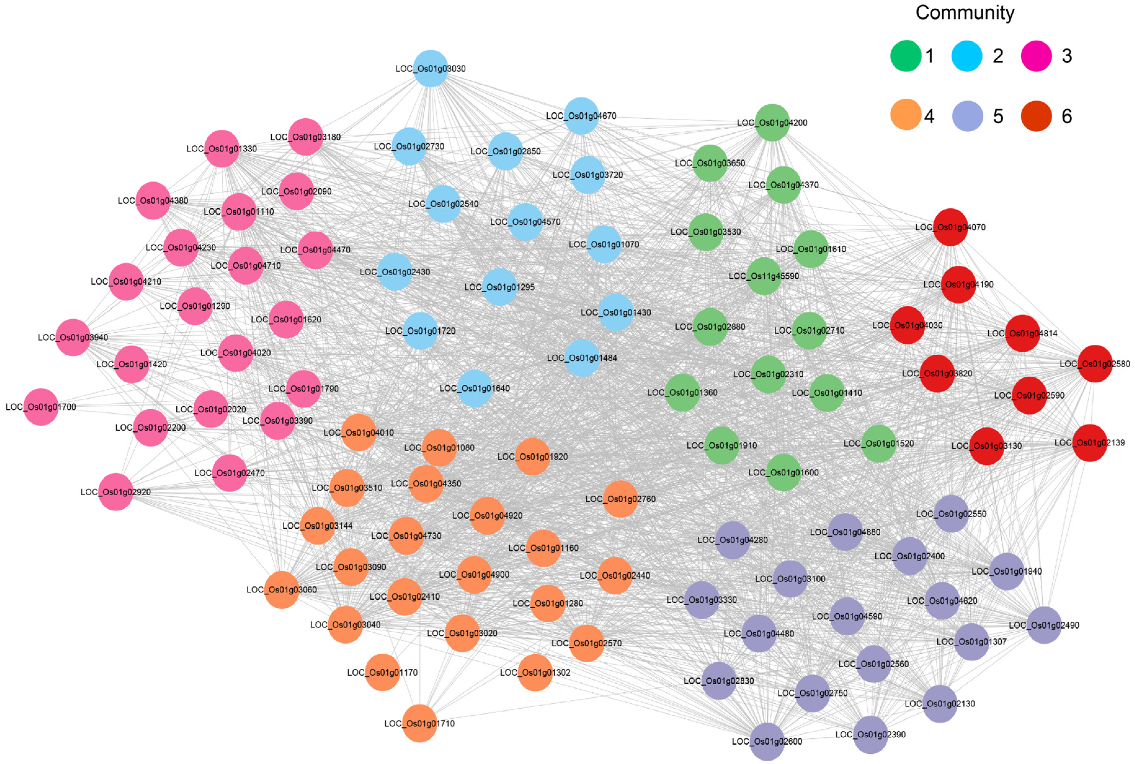 Ijms 26 03901 g005 Ijms 26 03901 g005