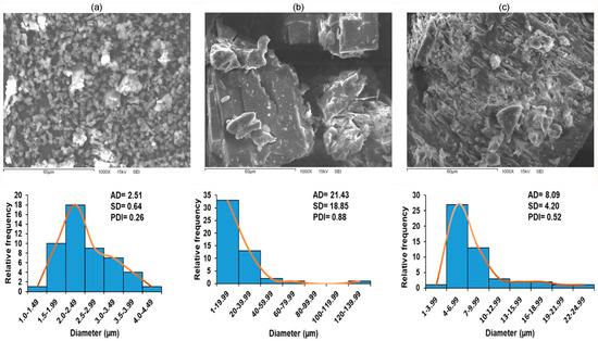 The Characterization and Antioxidant and Erythroprotective Effects