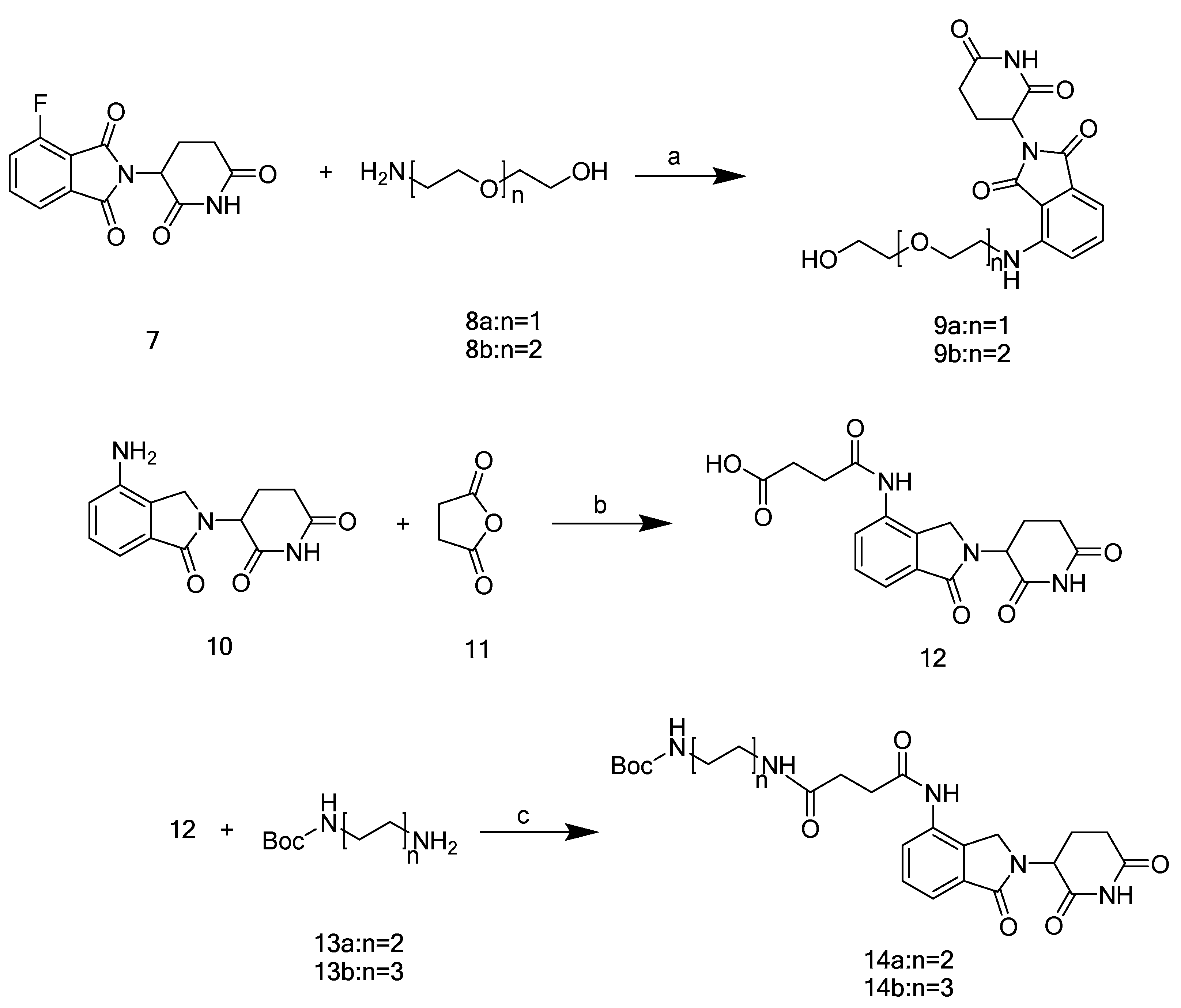 Ijms 26 03903 sch003