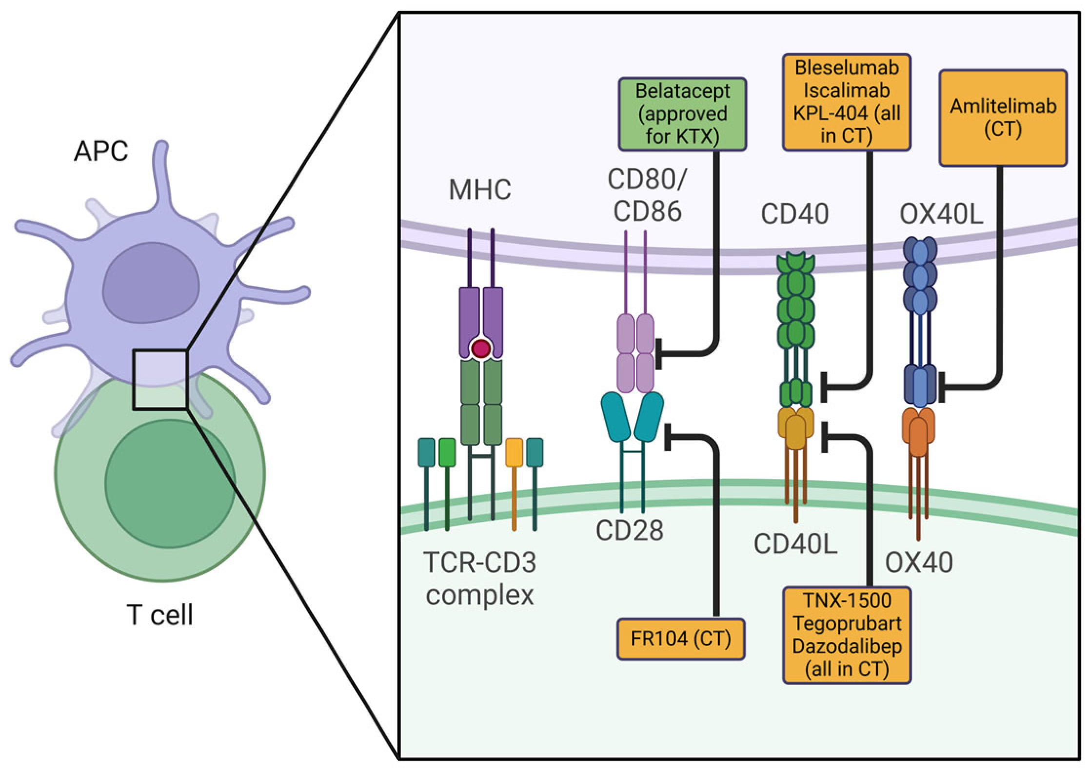 Ijms 26 03968 g001 Ijms 26 03968 g001