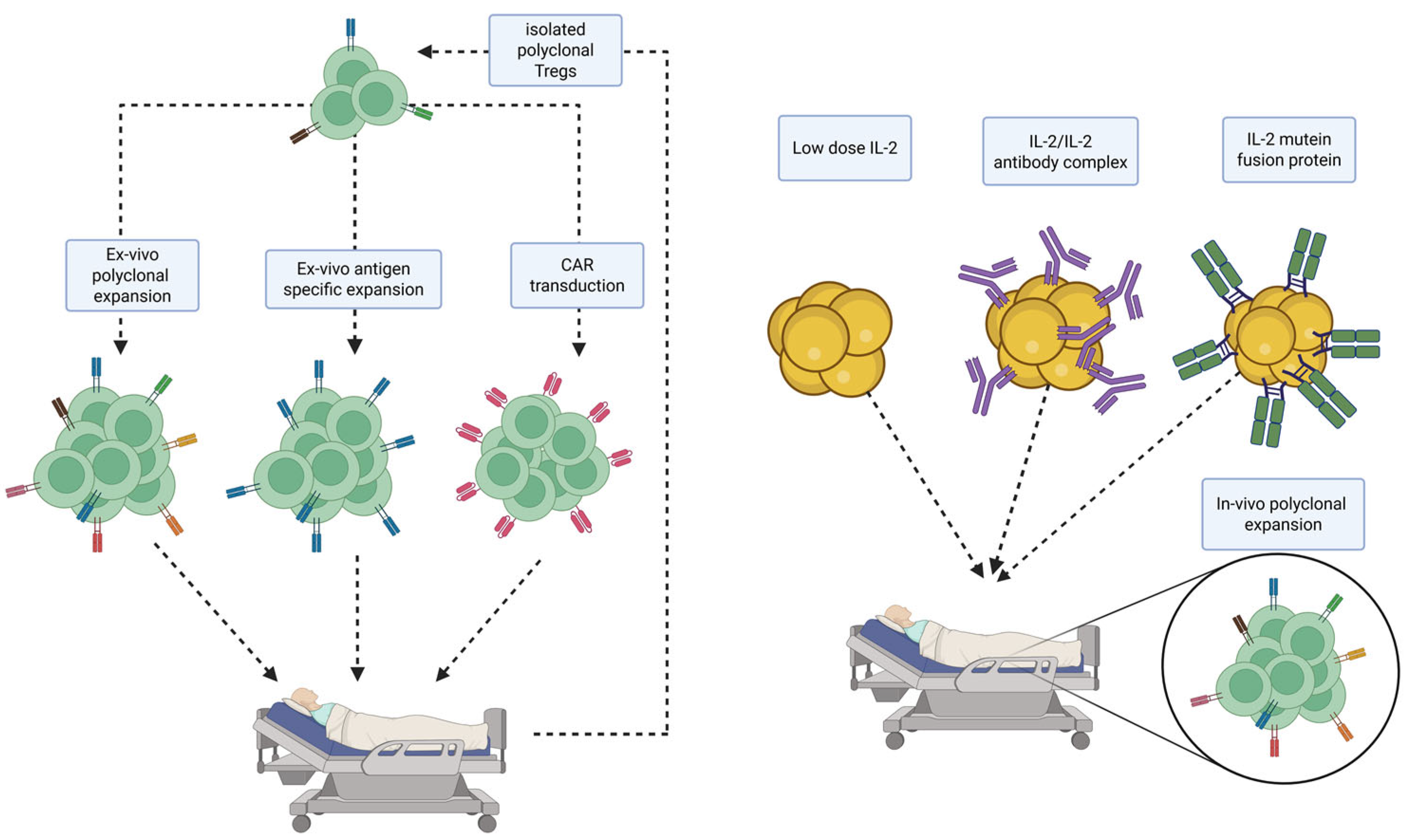 Ijms 26 03968 g002 Ijms 26 03968 g002