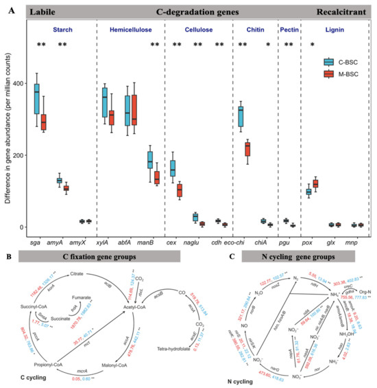 Differences in Carbon and Nitrogen Cycling Strategies and Regional ...