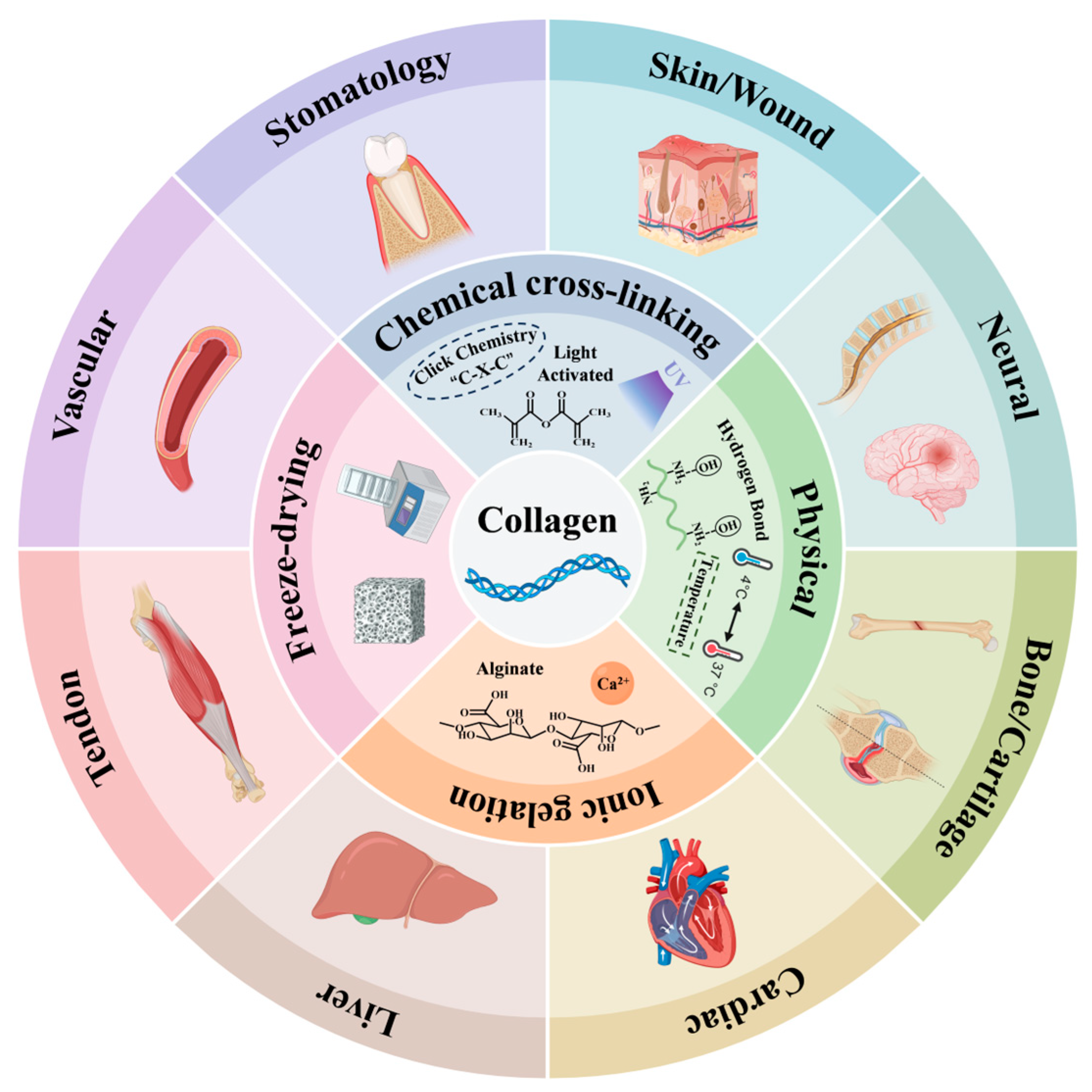 Ijms 26 04009 g003 Ijms 26 04009 g003