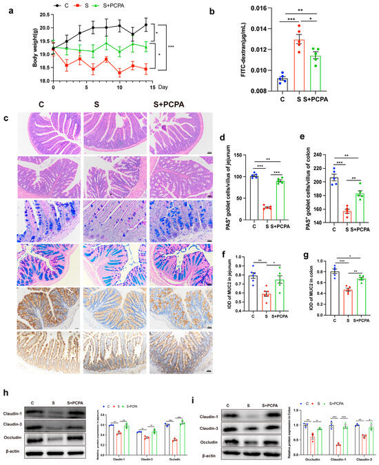 RRP15 deficiency induces ribosome stress to inhibit
