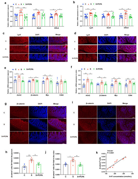 The Mechanics of Tumor Cells Dictate Malignancy via