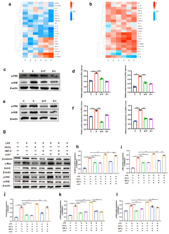RRP15 deficiency induces ribosome stress to inhibit