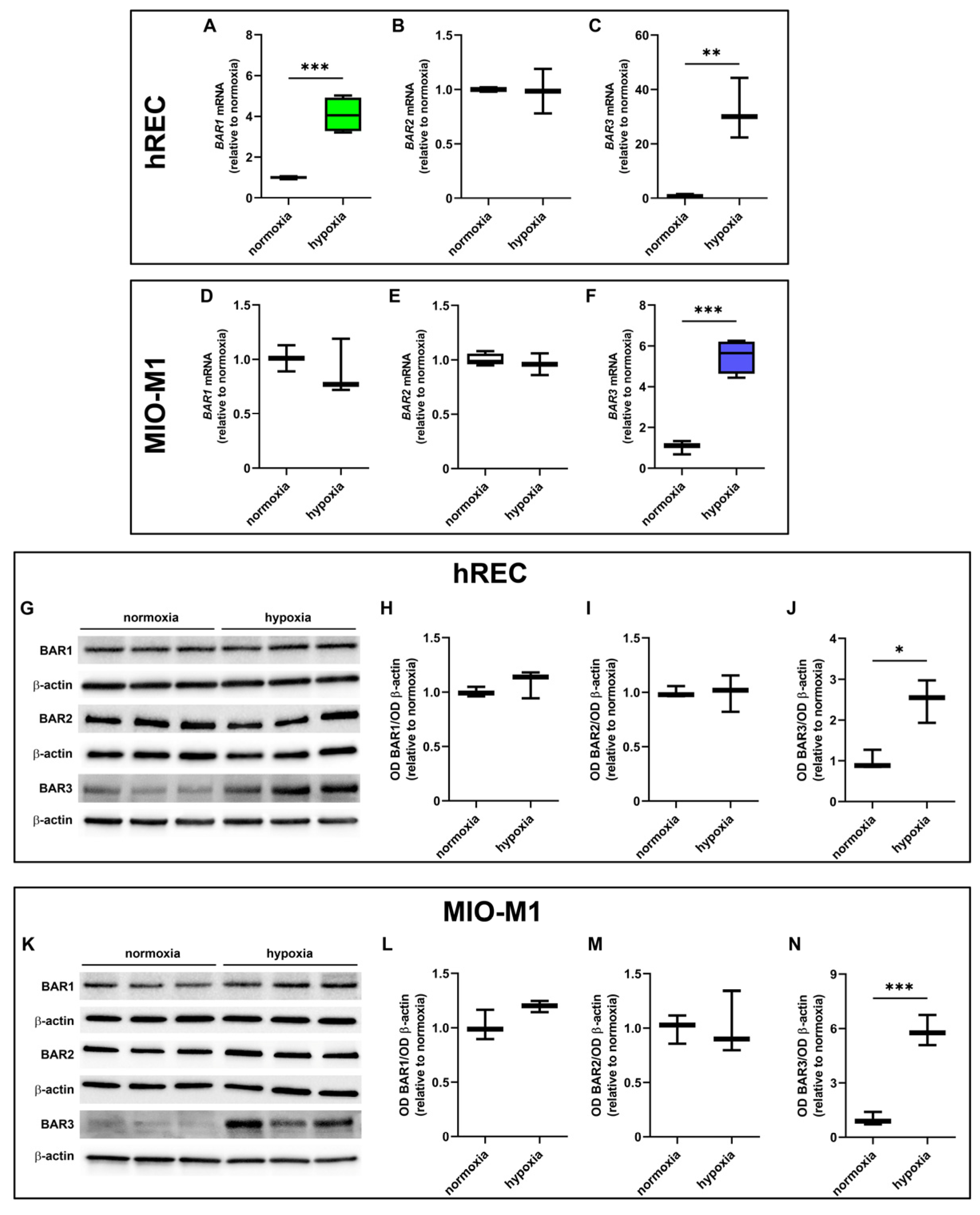 Ijms 26 04043 g002 Ijms 26 04043 g002
