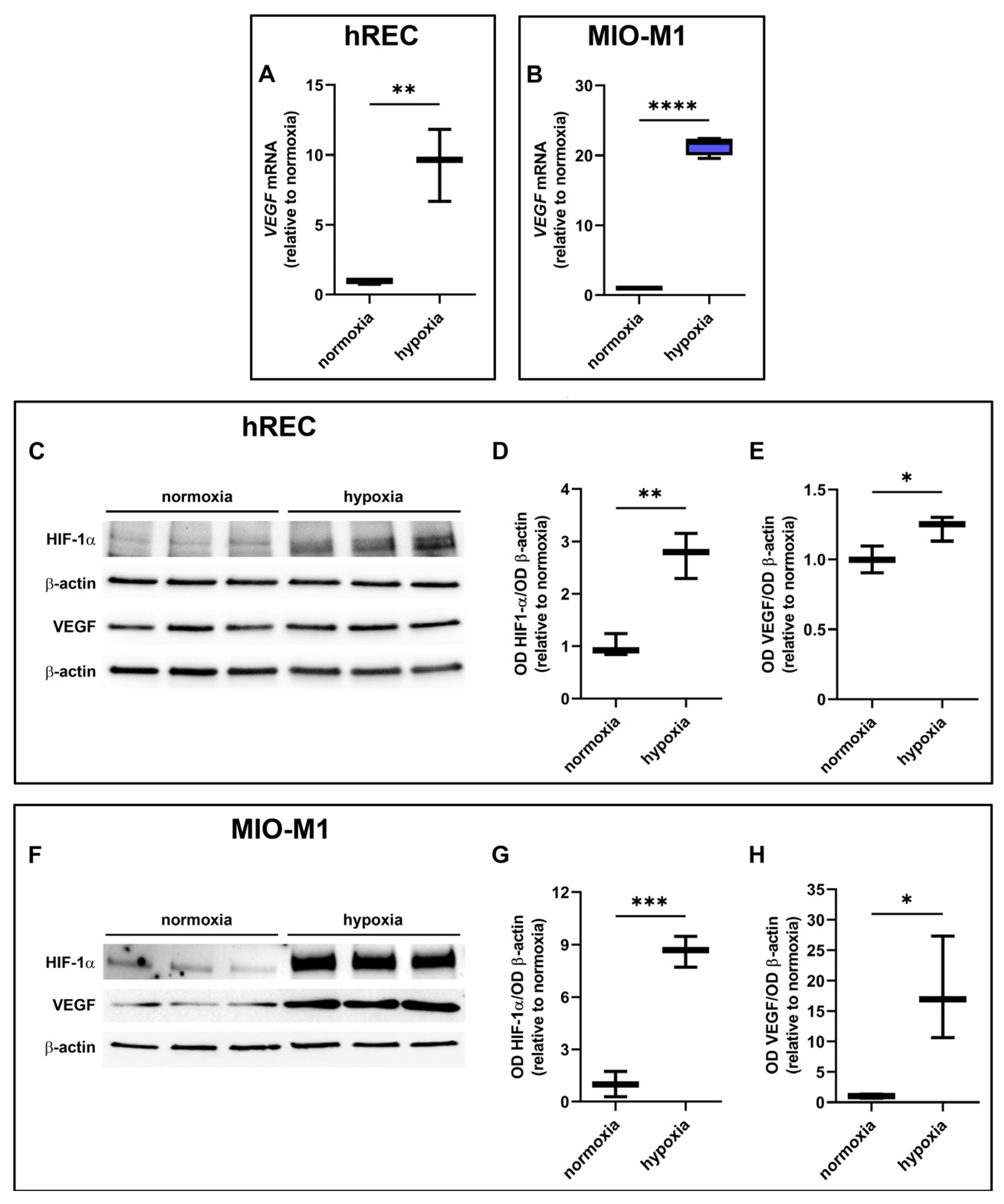 Ijms 26 04043 g003 Ijms 26 04043 g003