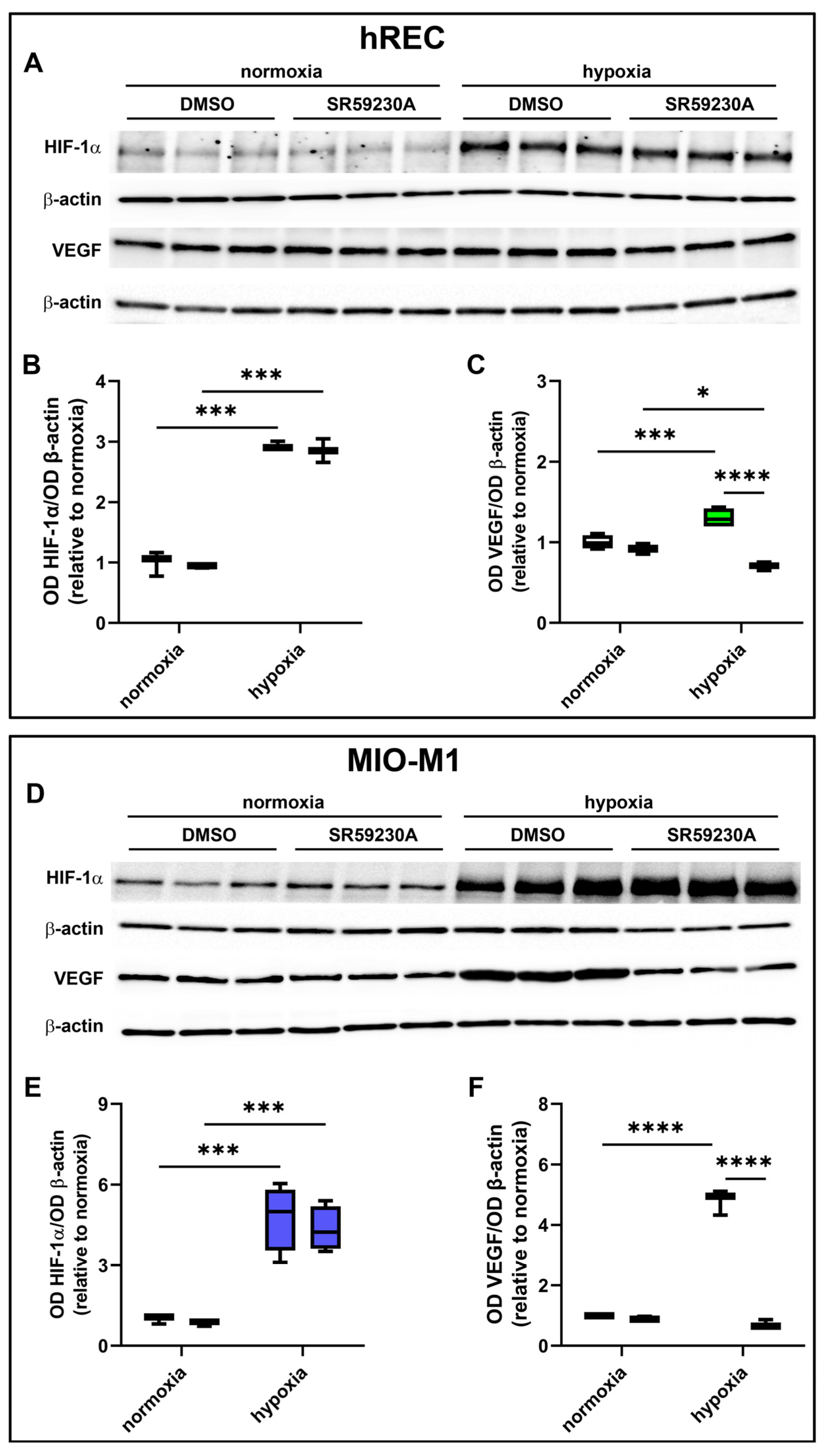 Ijms 26 04043 g005 Ijms 26 04043 g005