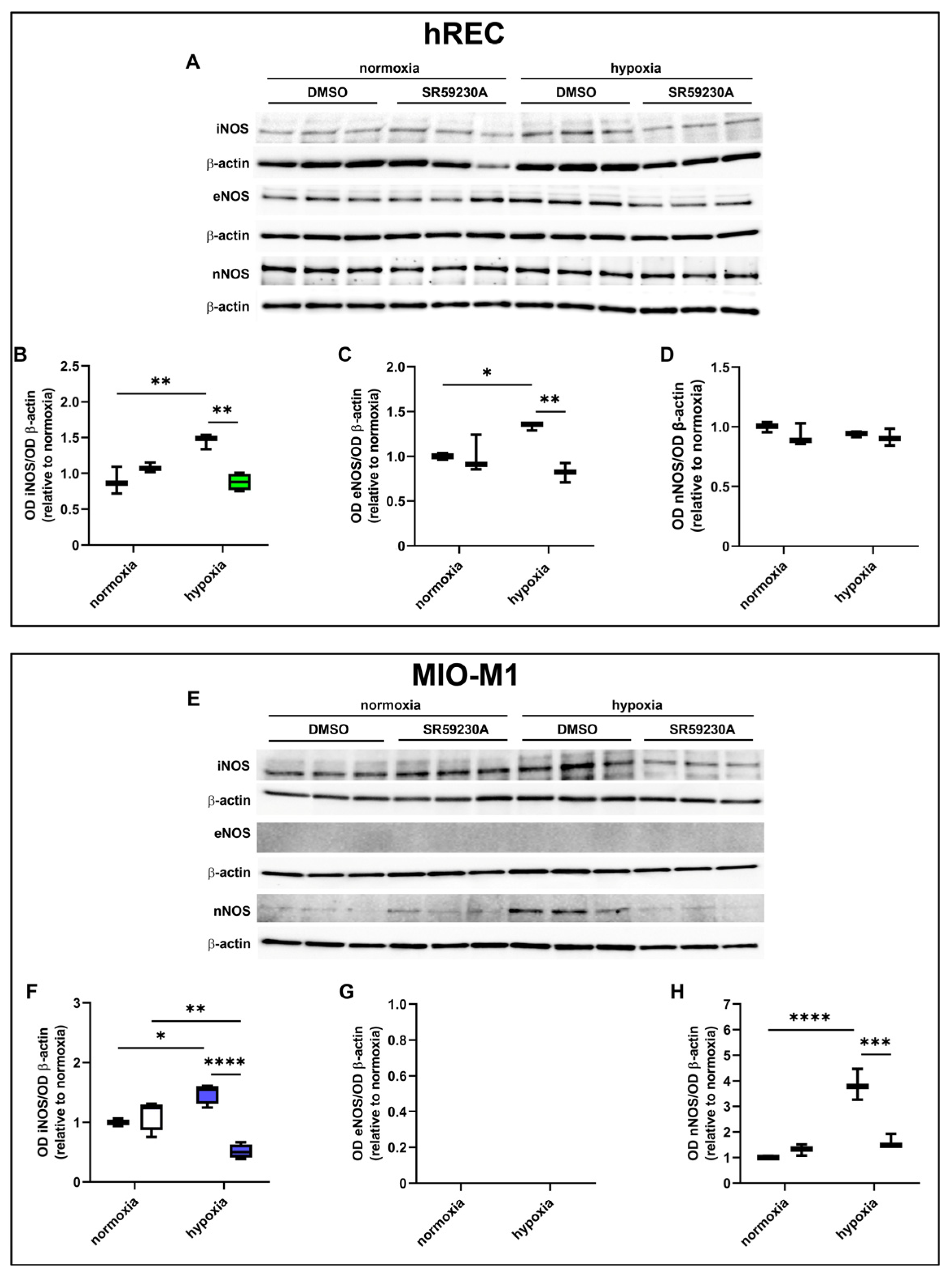 Ijms 26 04043 g006 Ijms 26 04043 g006