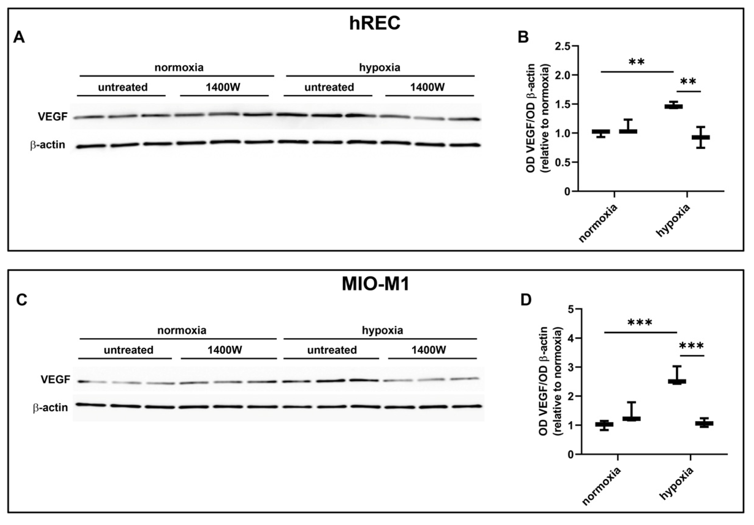 Ijms 26 04043 g008 Ijms 26 04043 g008