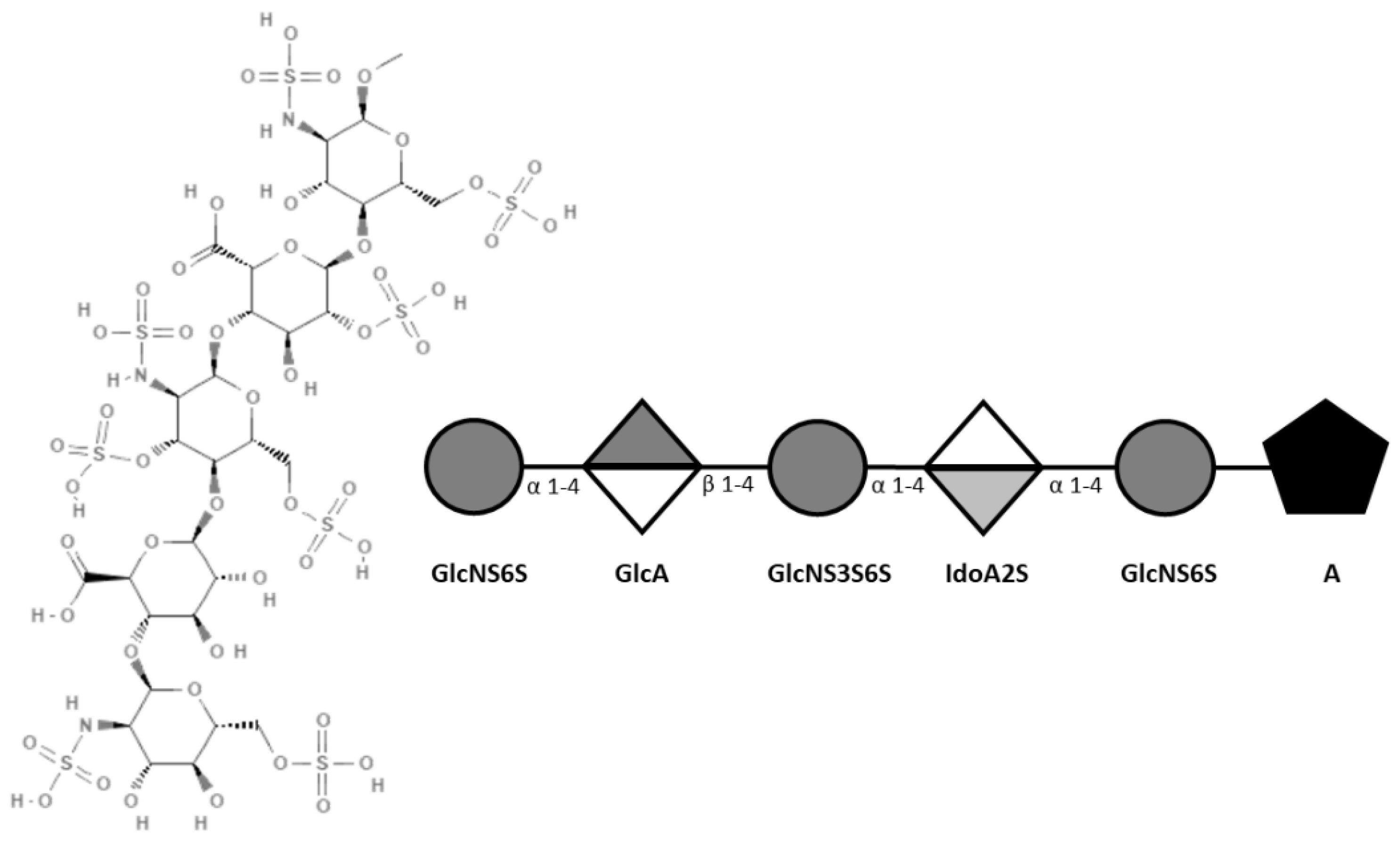Ijms 26 04045 g001 Ijms 26 04045 g001