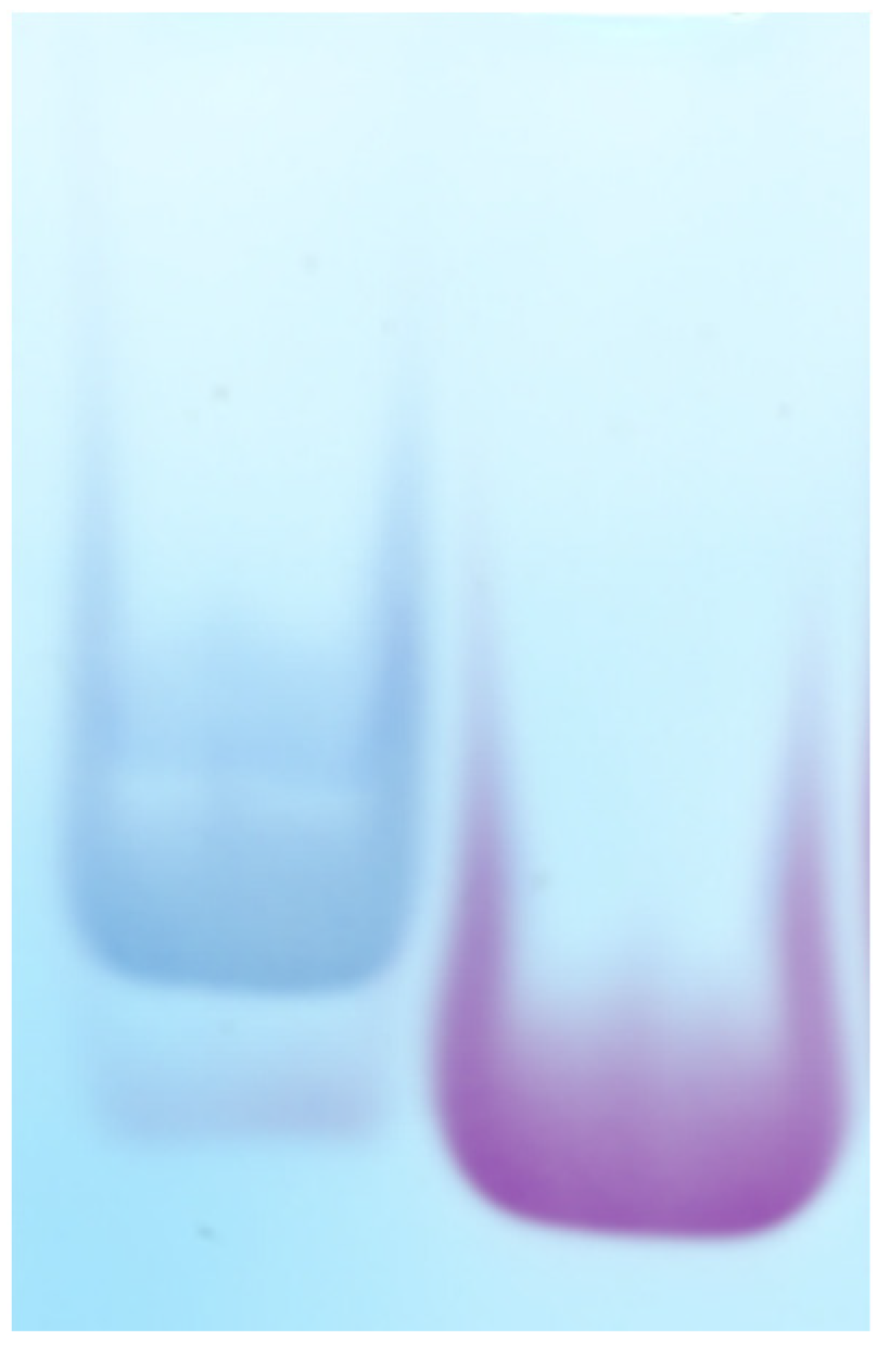 Ijms 26 04045 g002 Ijms 26 04045 g002