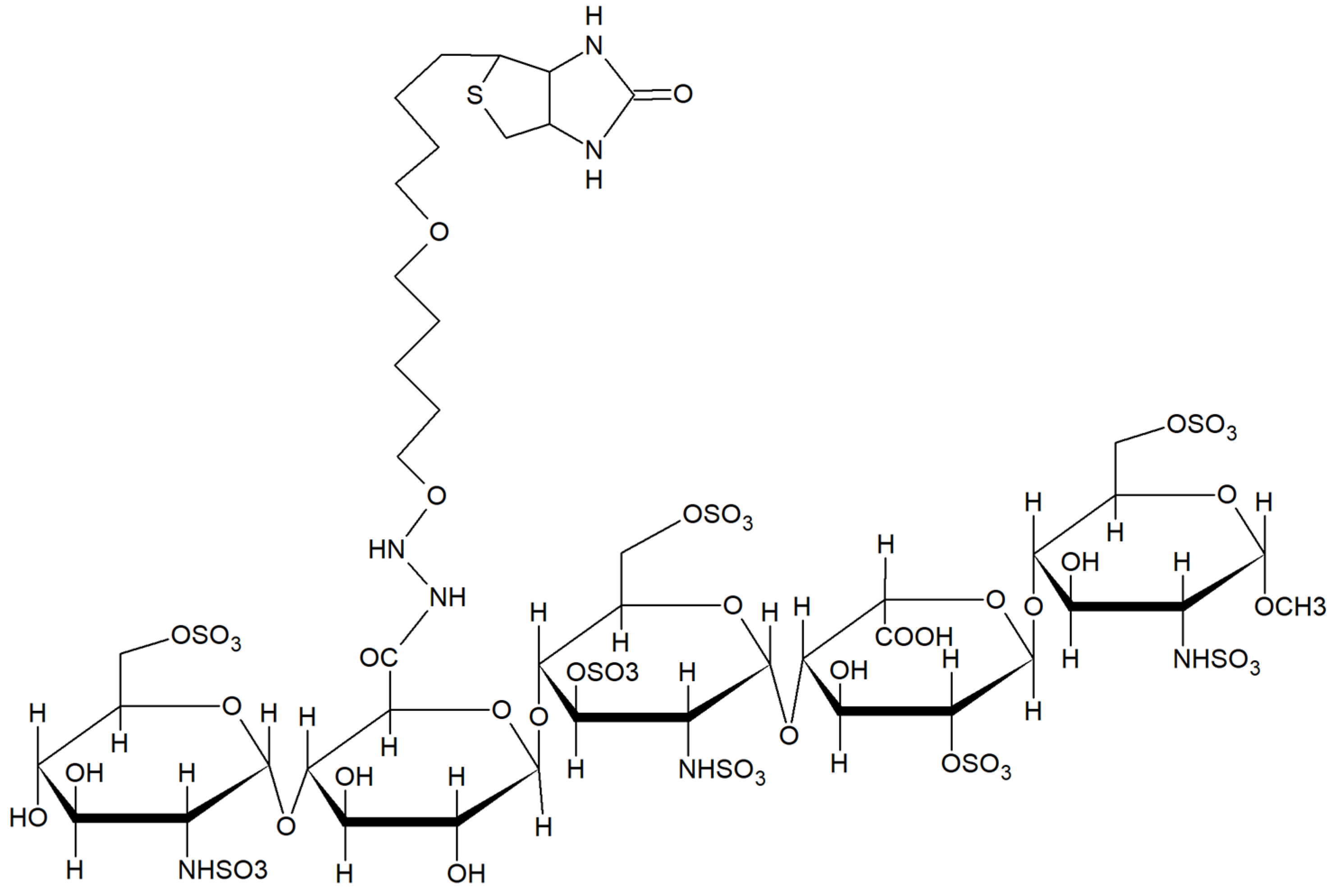 Ijms 26 04045 g006 Ijms 26 04045 g006