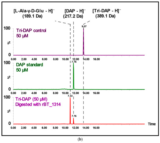 Proteomics of Bacterial and Mouse Extracellular Vesicles