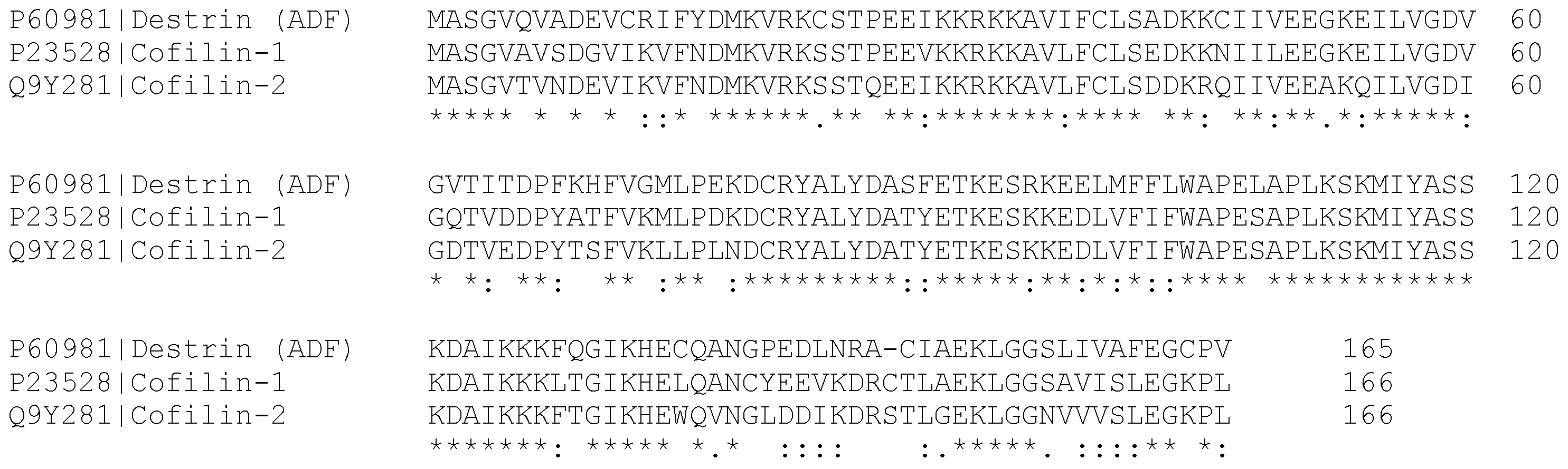 Ijms 26 04094 g001 Ijms 26 04094 g001