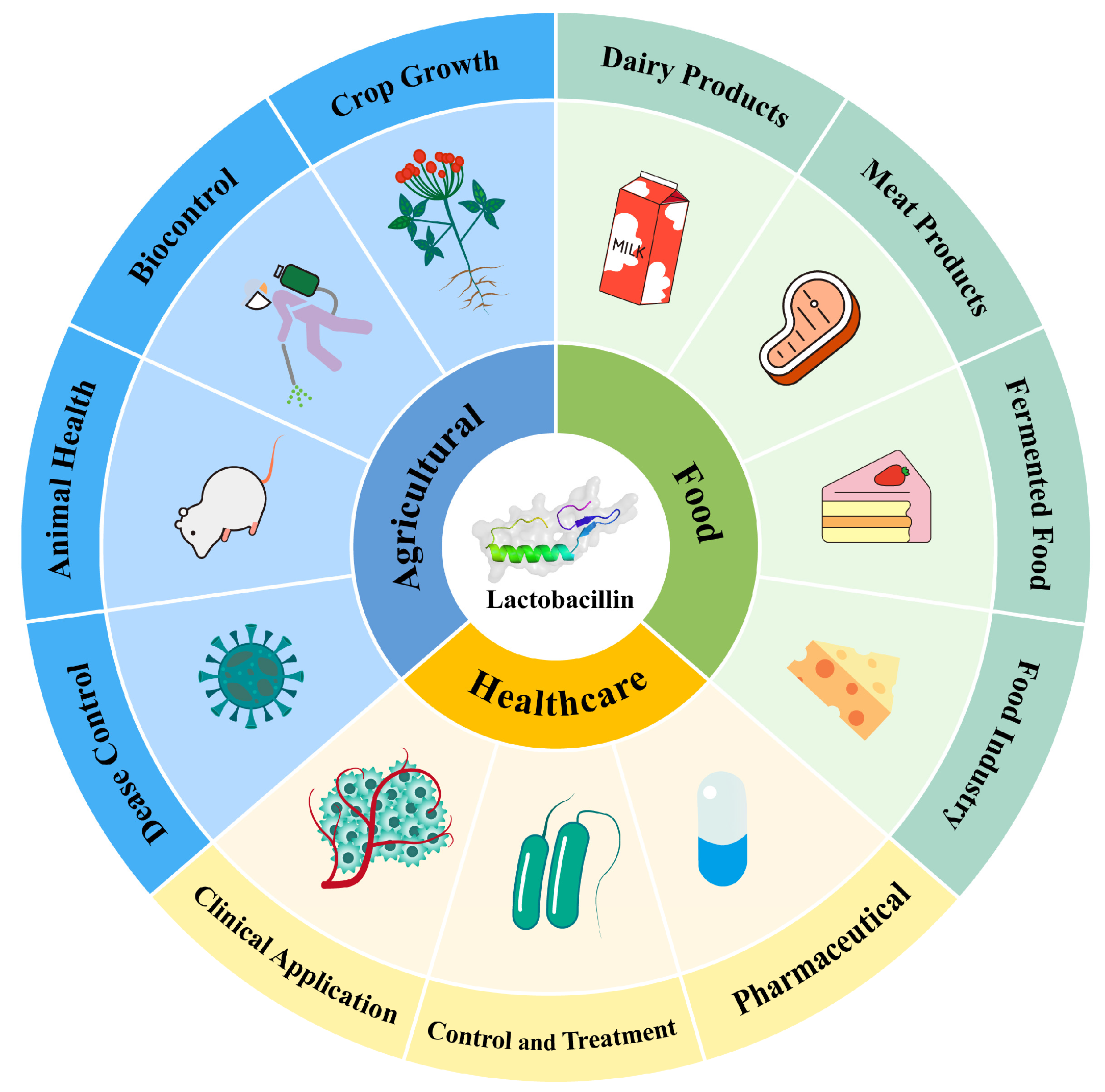 Lactic Acid Bacteria Bacteriocins: Safe and Effective