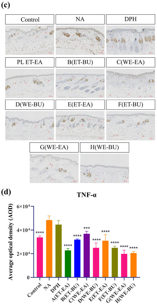 bul bu bu SSサイズ Kia Cadenza Maintenance Schedule | Baytown Auto Repair ^