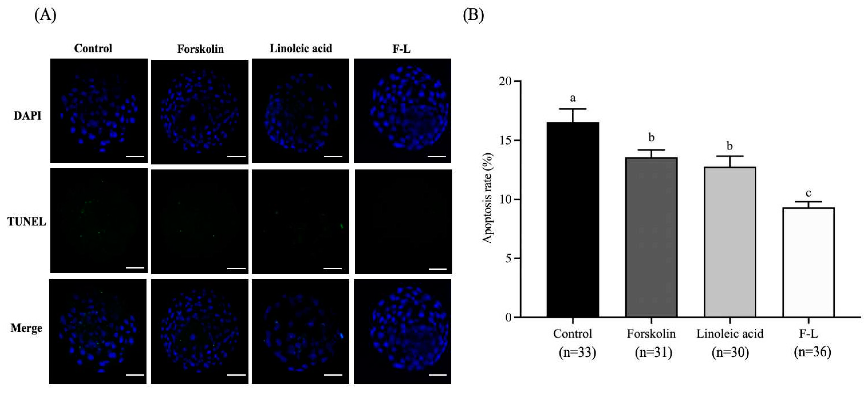 Ijms 26 04151 g009 Ijms 26 04151 g009