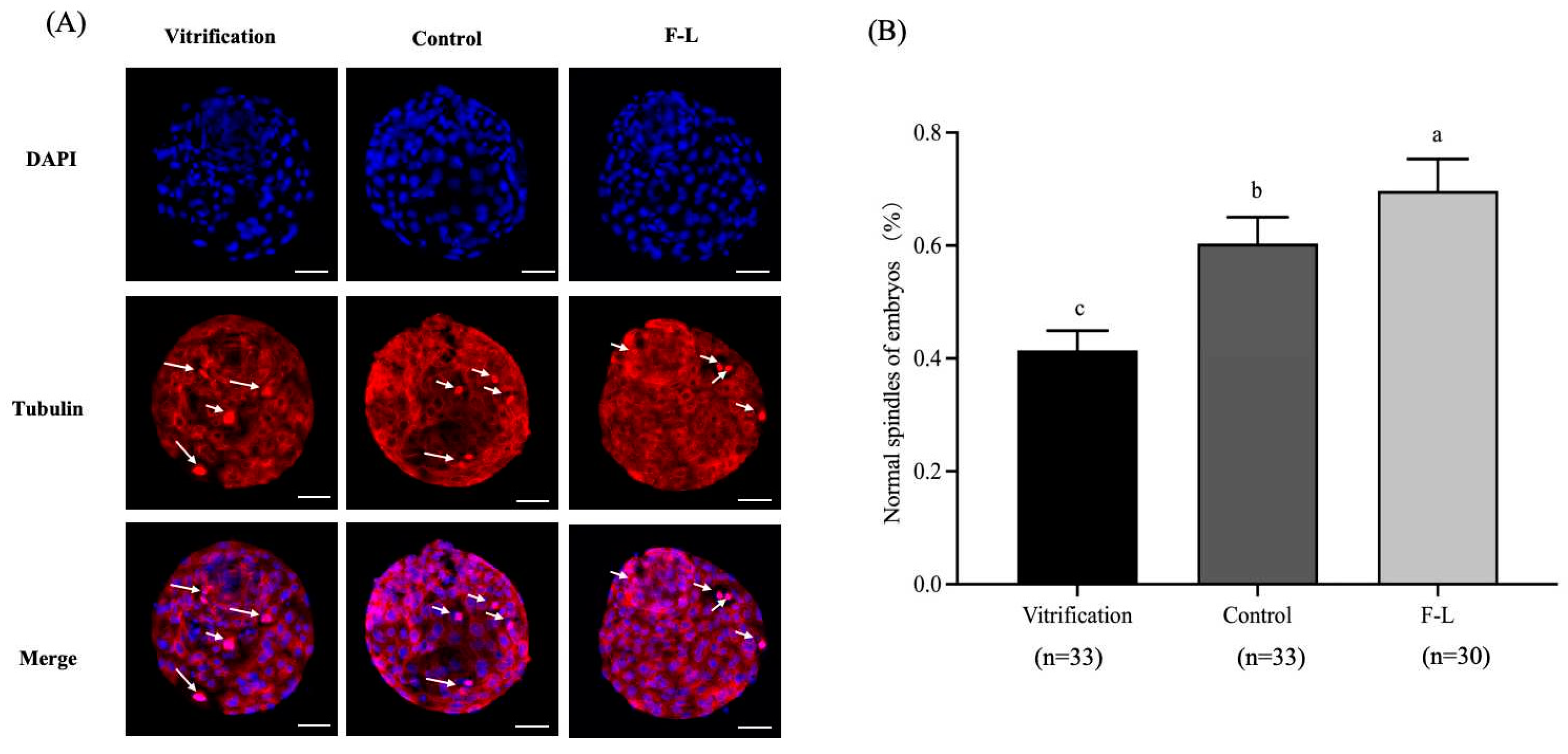 Ijms 26 04151 g011 Ijms 26 04151 g011