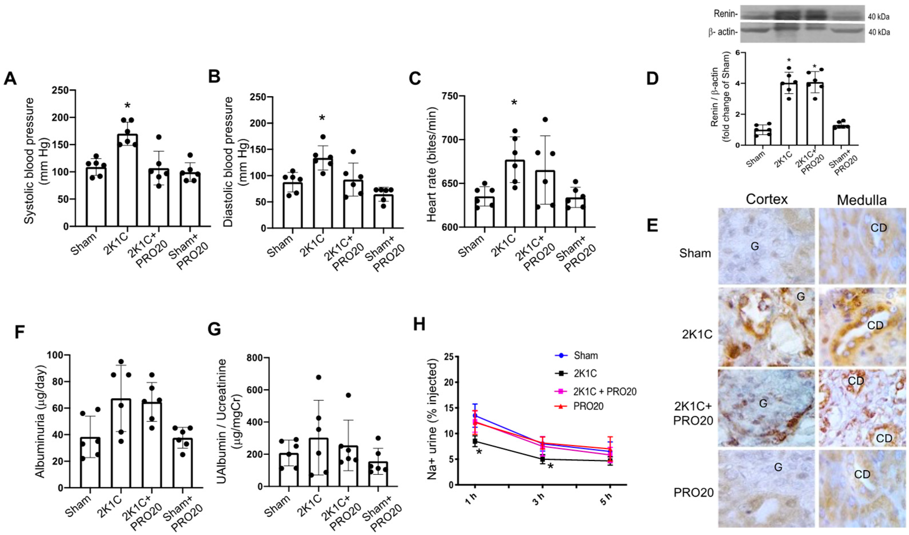 Ijms 26 04177 g001 Ijms 26 04177 g001