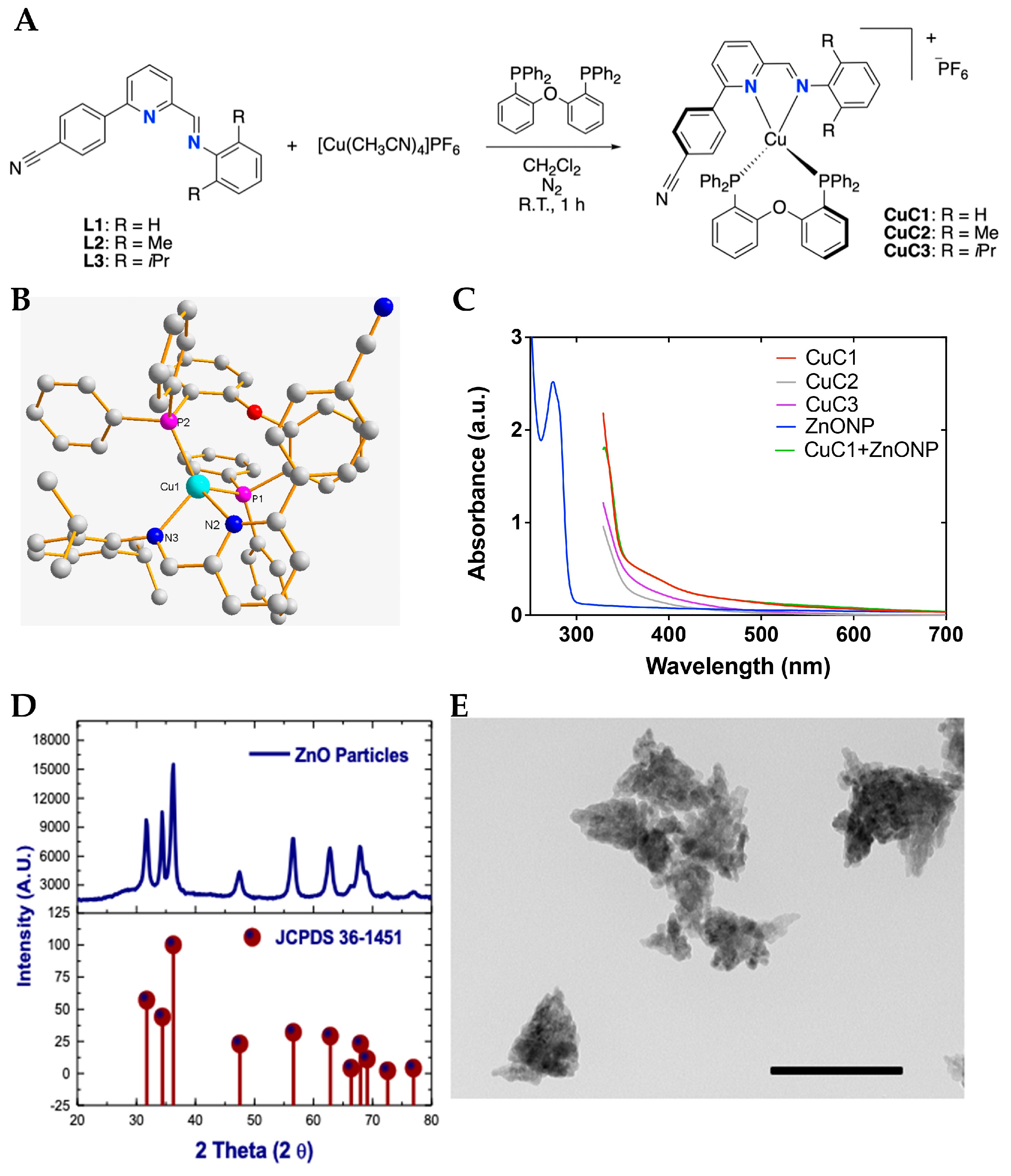 Photodynamic Effectiveness of Copper-Iminopyridine