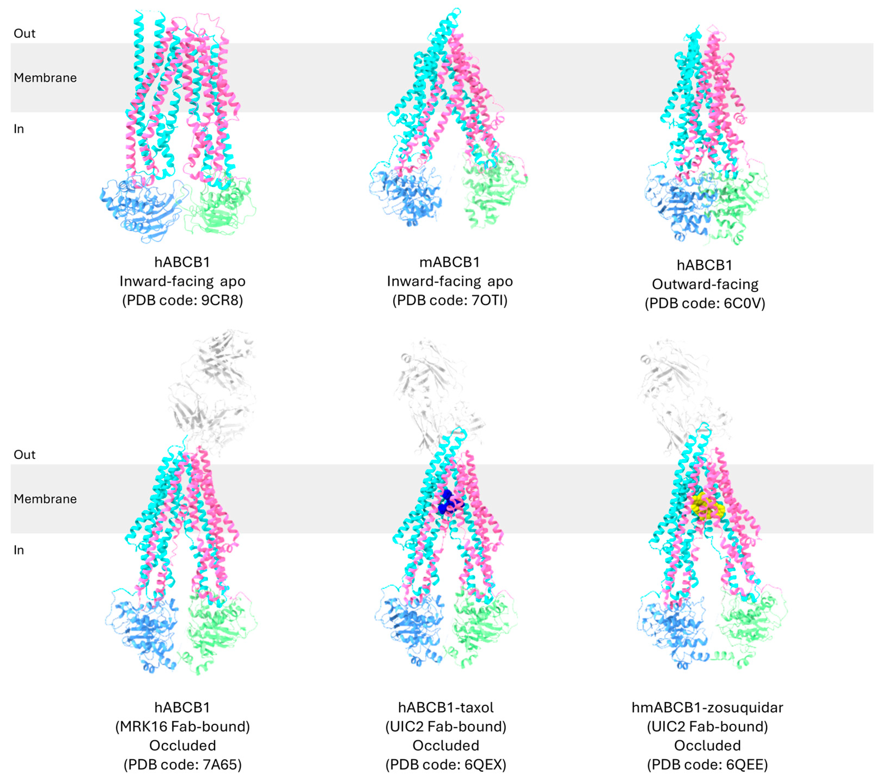 Ijms 26 04179 g003 Ijms 26 04179 g003