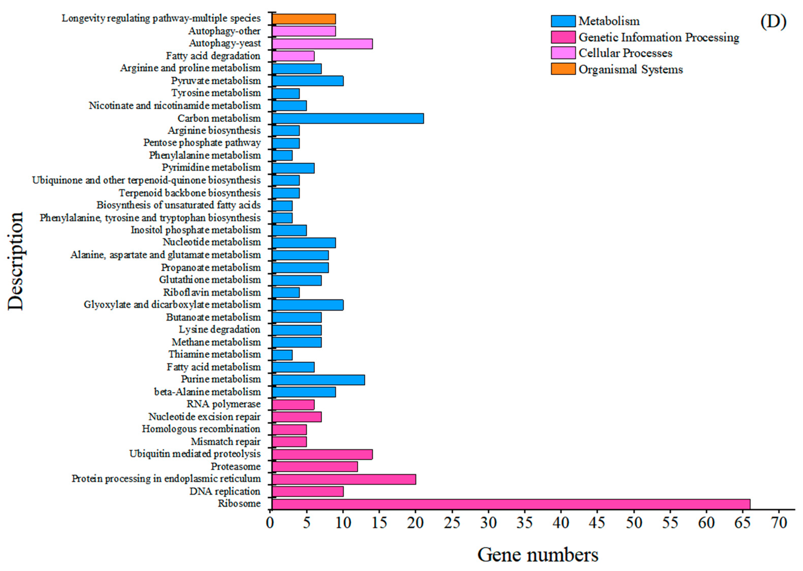 Ijms 26 04180 g002b Ijms 26 04180 g002b
