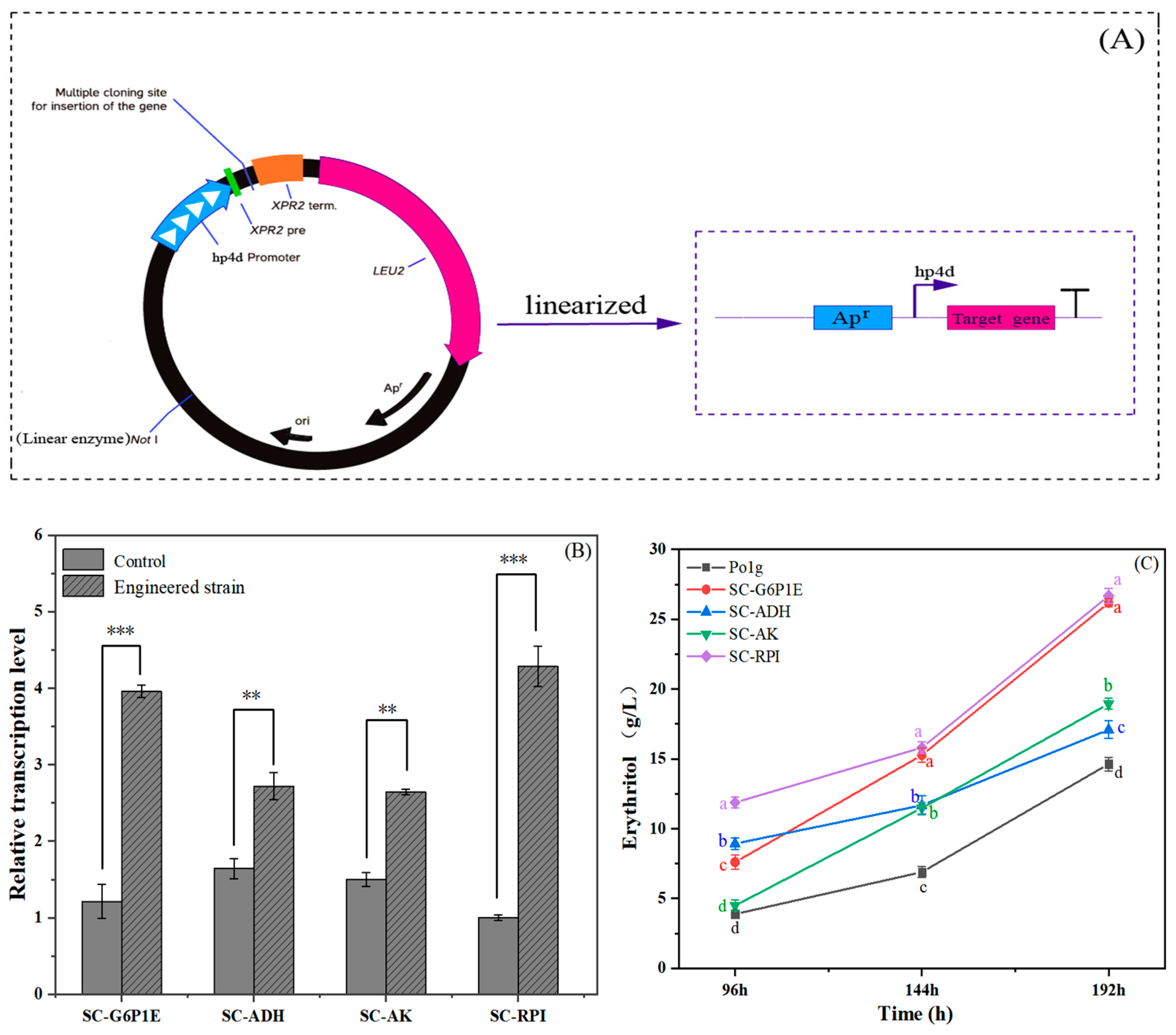 Ijms 26 04180 g005 Ijms 26 04180 g005