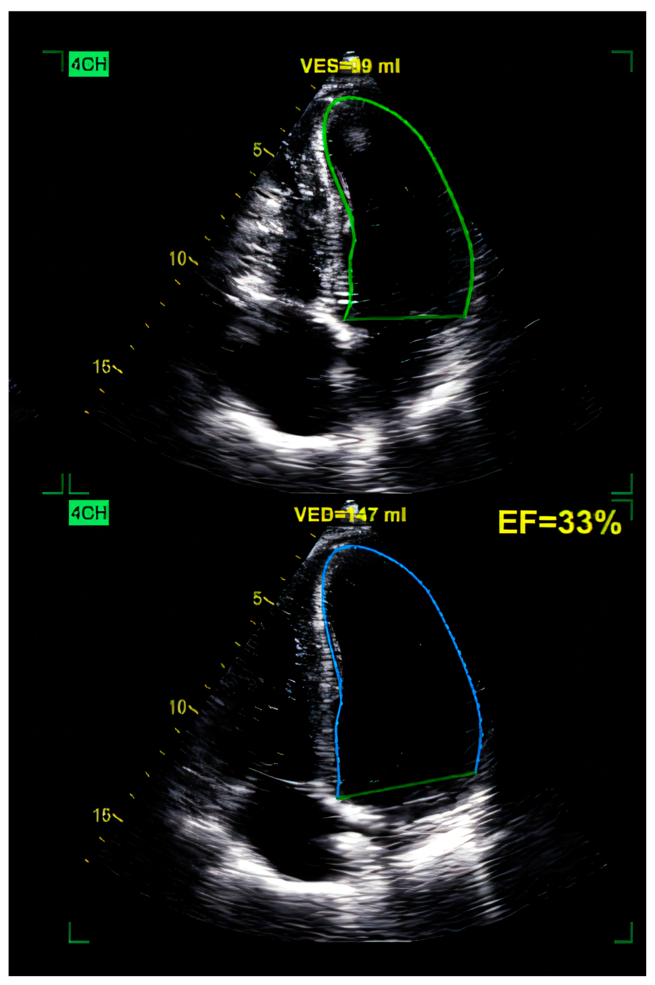 Ijms 26 04181 g001 Ijms 26 04181 g001