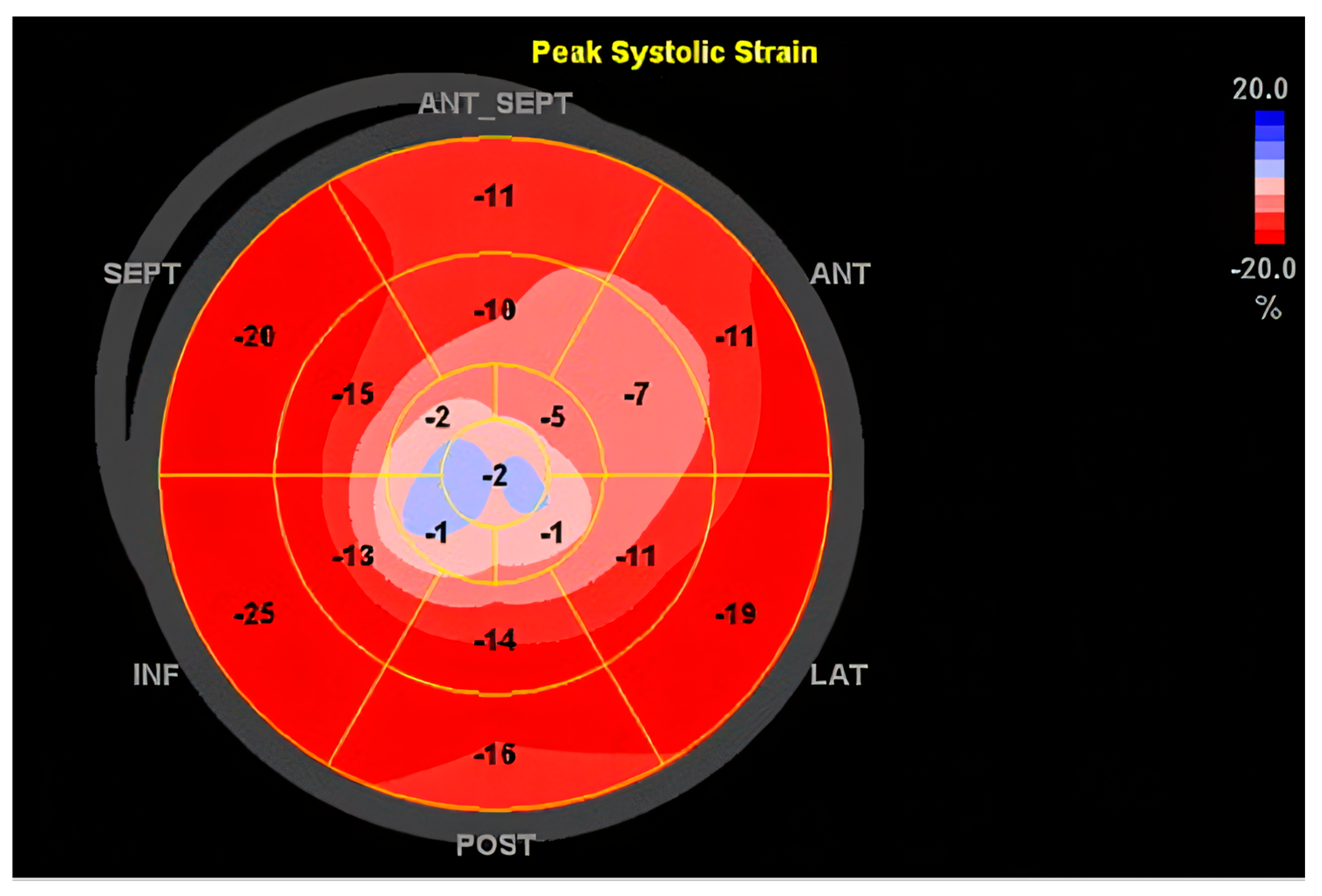 Ijms 26 04181 g002 Ijms 26 04181 g002