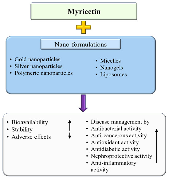 Mia Unlocking the Pharmacological Potential of Myricetin Against