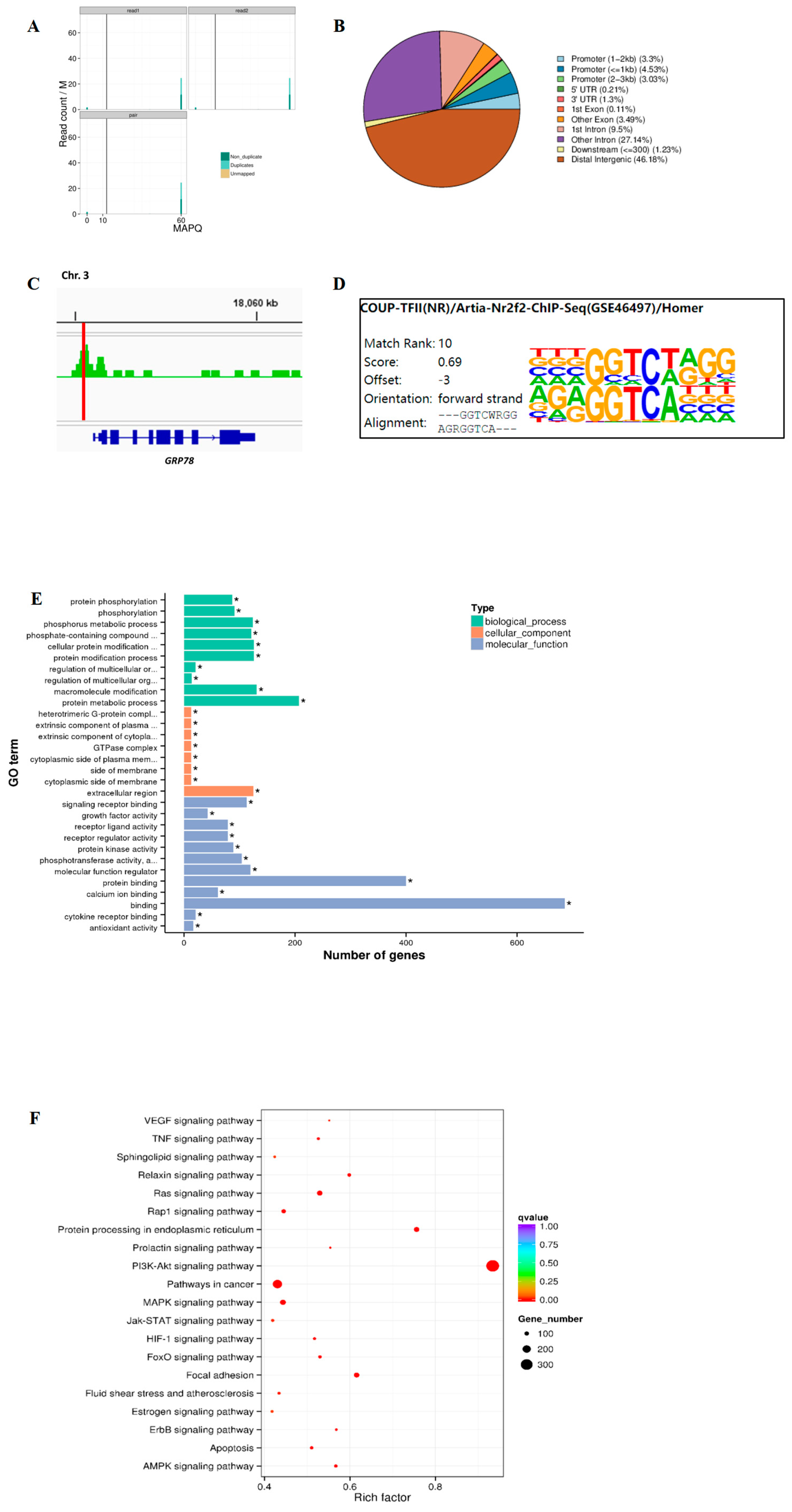 Ijms 26 04196 g003 Ijms 26 04196 g003