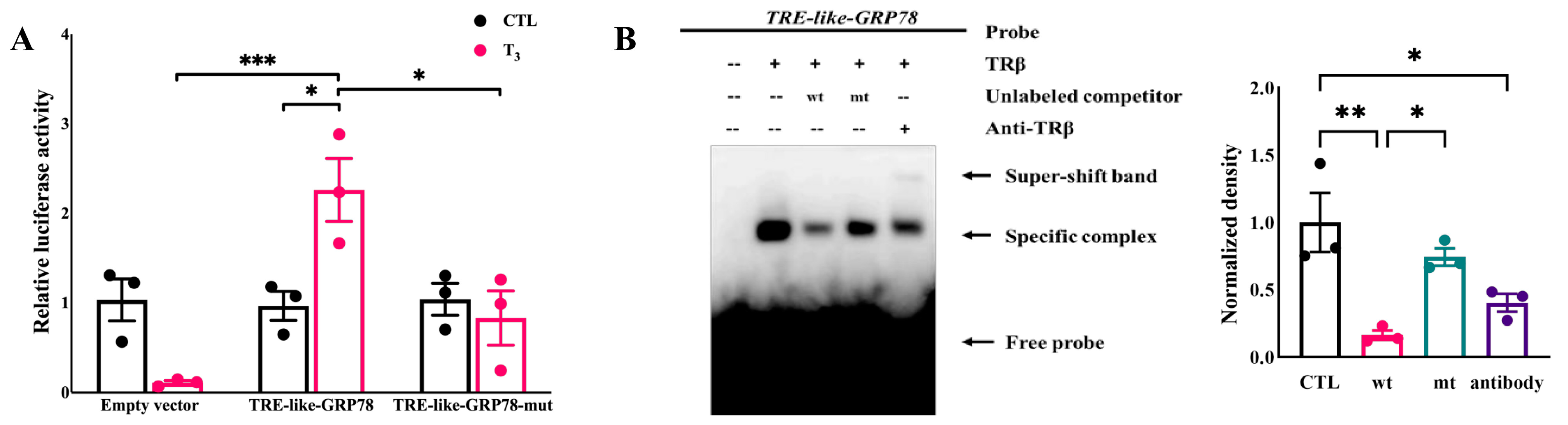 Ijms 26 04196 g004 Ijms 26 04196 g004