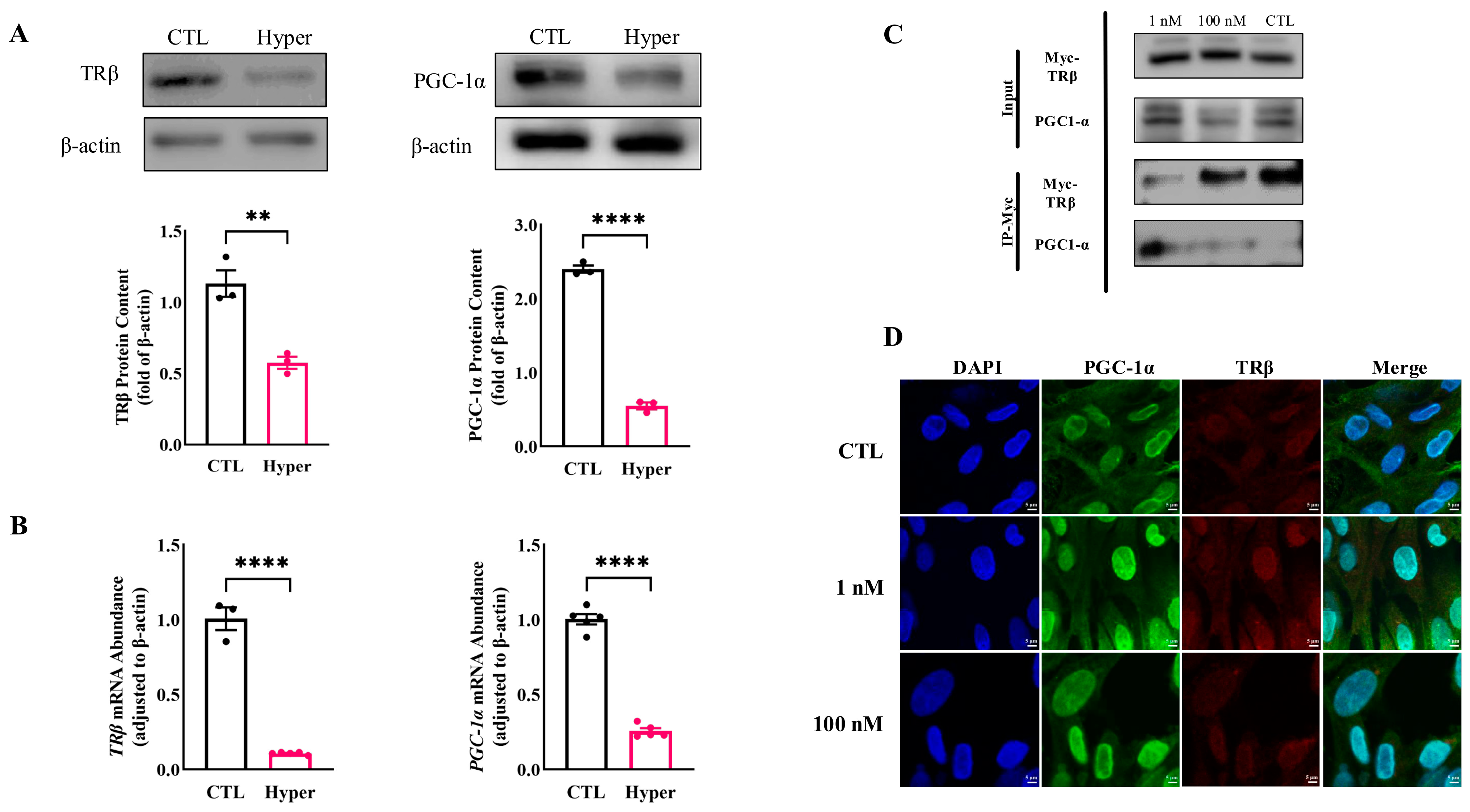Ijms 26 04196 g005 Ijms 26 04196 g005