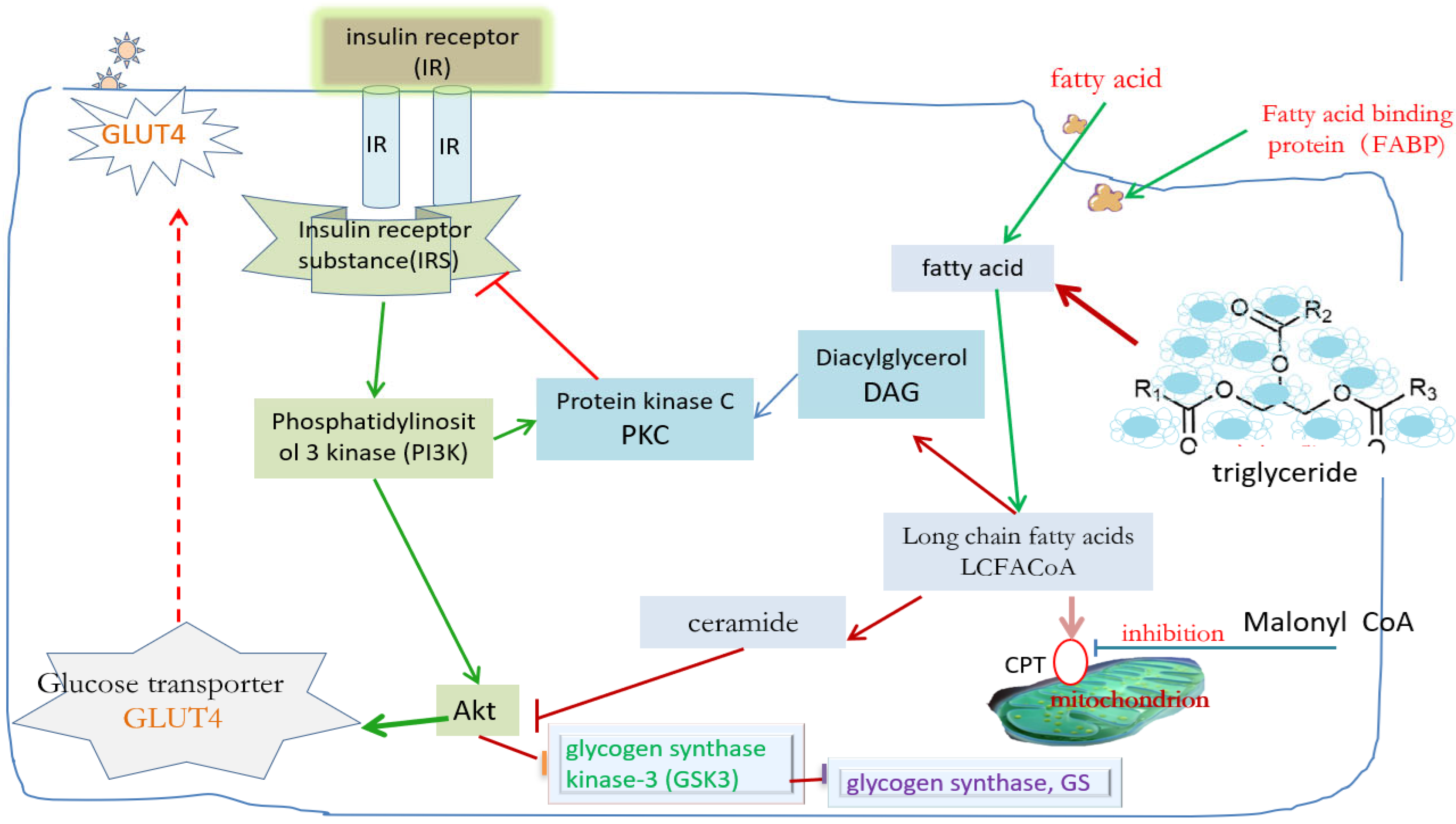 Ijms 26 04199 g002 Ijms 26 04199 g002