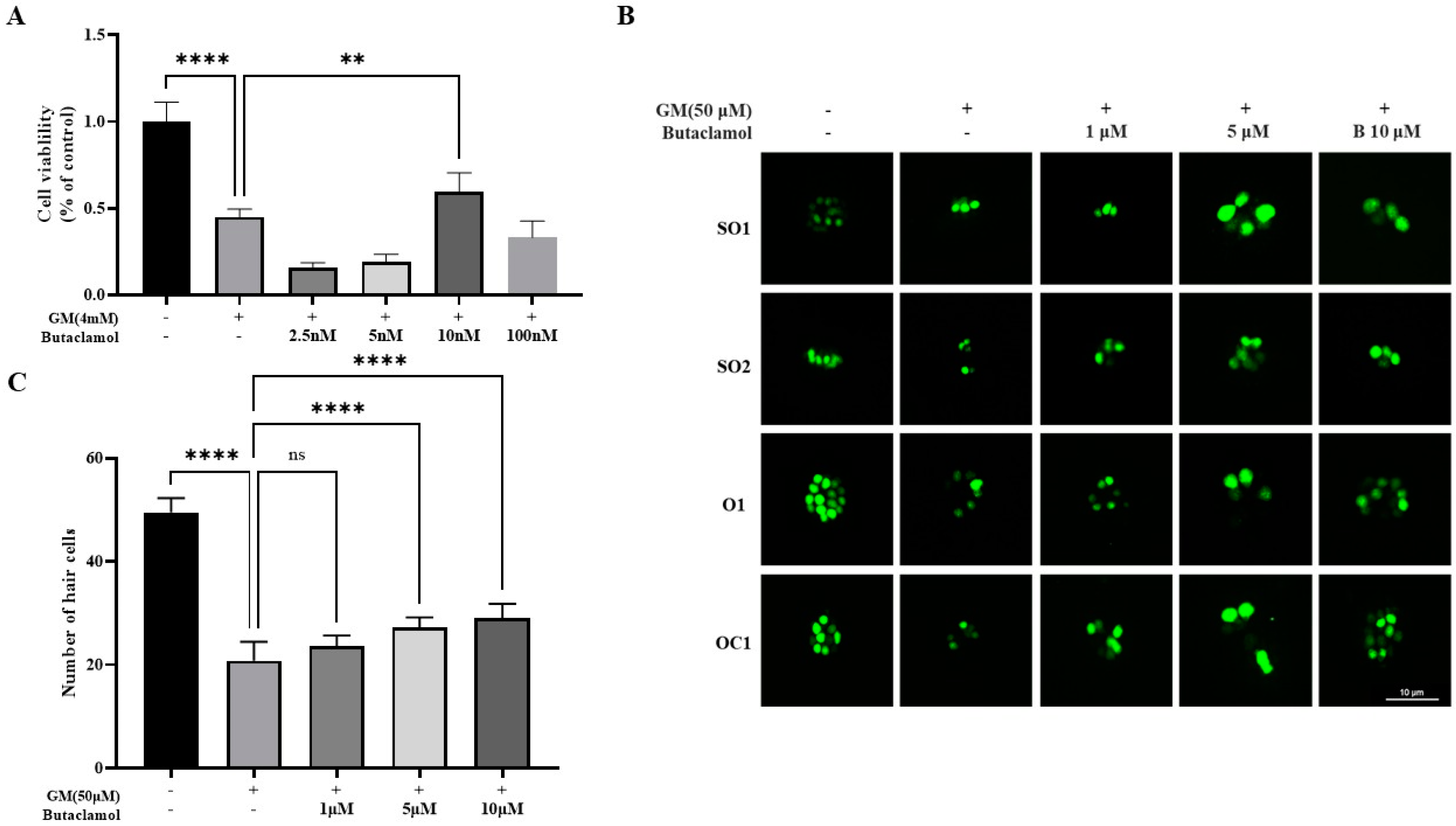 Ijms 26 04201 g001 Ijms 26 04201 g001