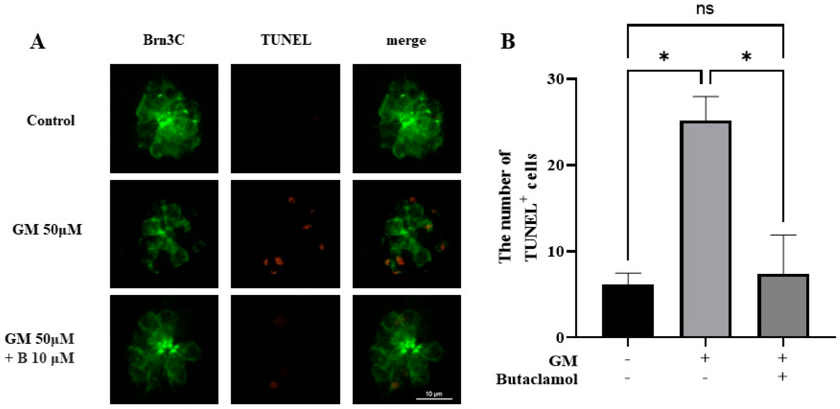 Ijms 26 04201 g002 Ijms 26 04201 g002