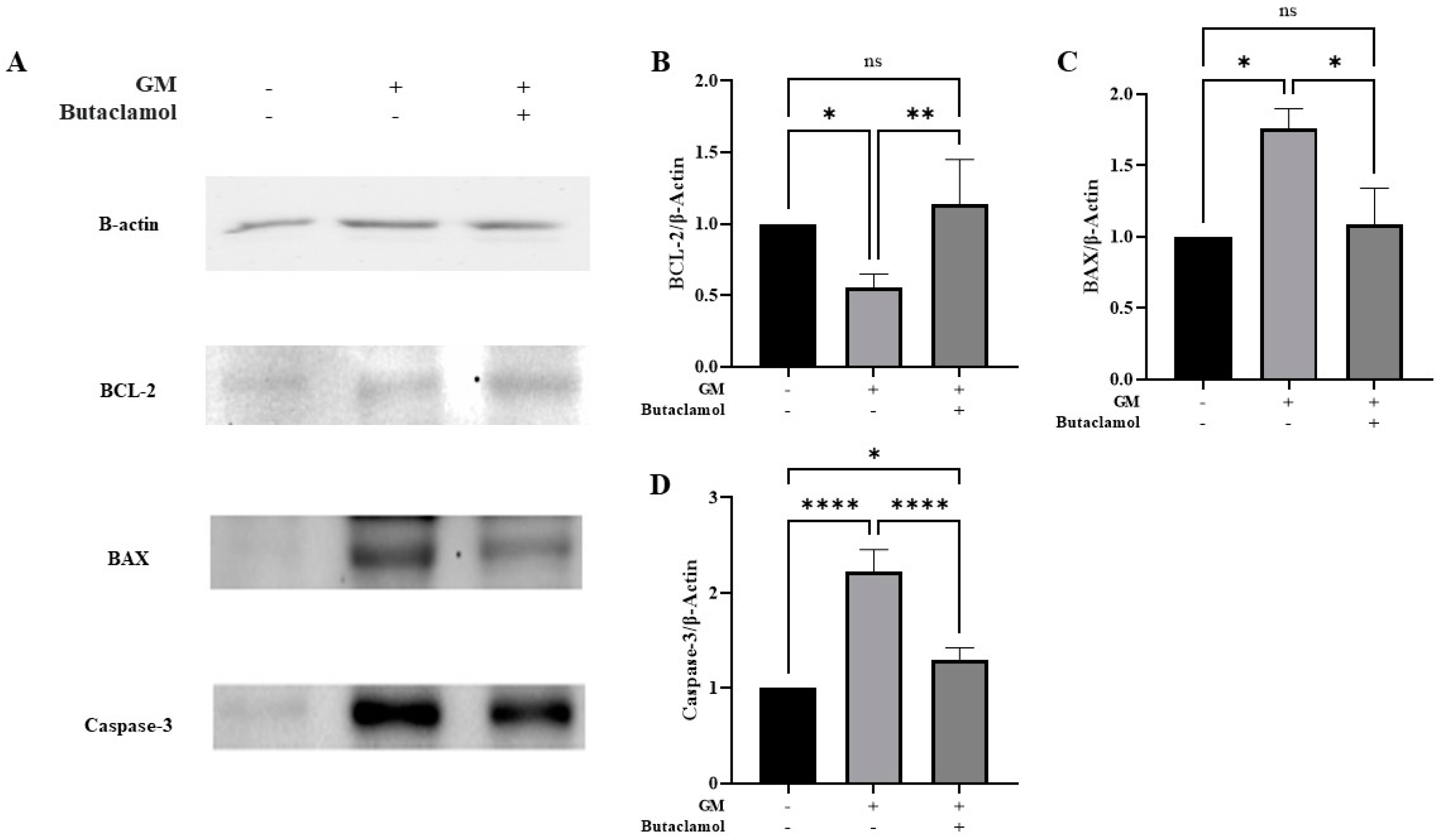 Ijms 26 04201 g003 Ijms 26 04201 g003