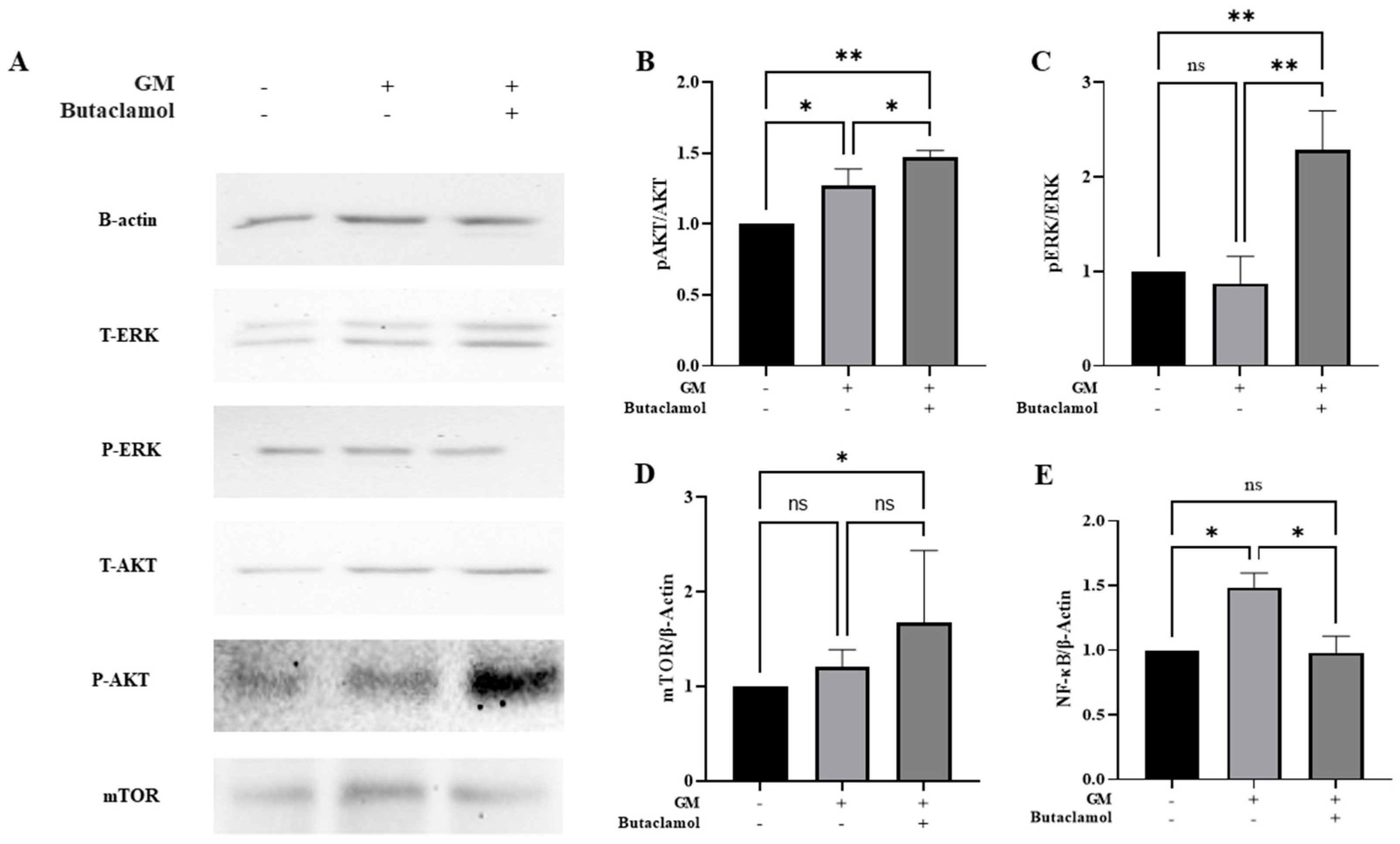 Ijms 26 04201 g004 Ijms 26 04201 g004