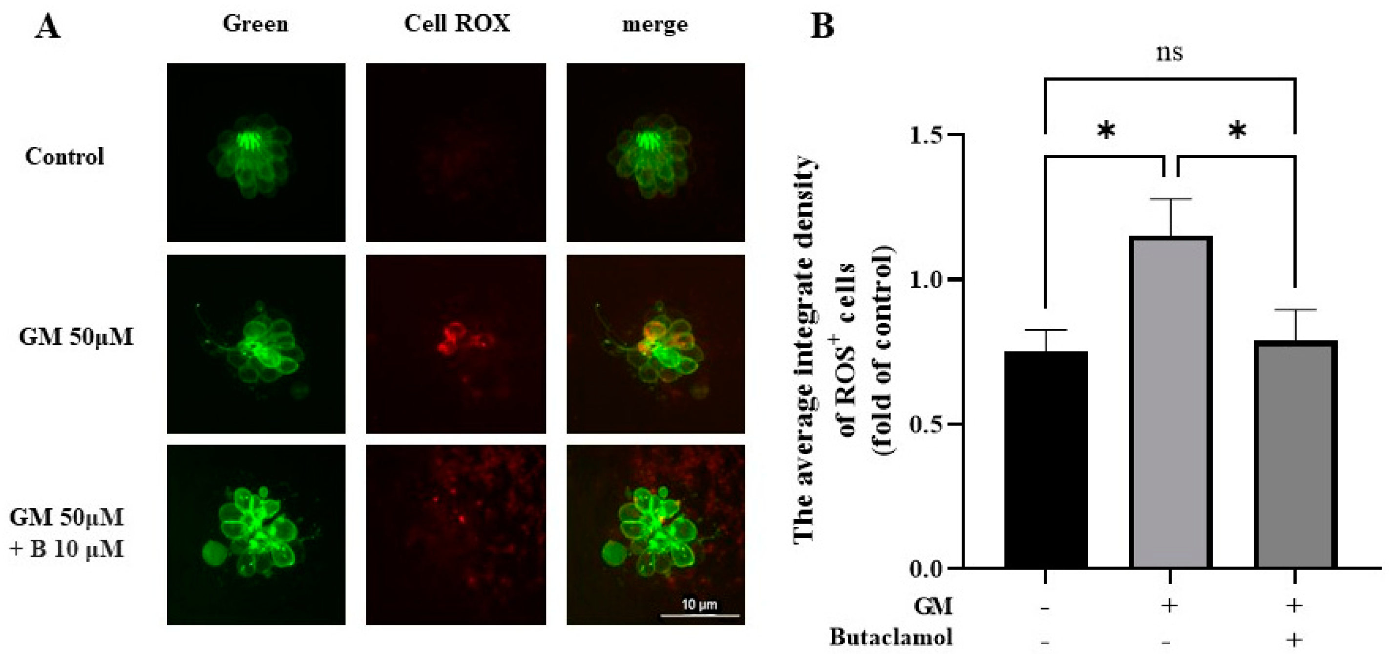 Ijms 26 04201 g005 Ijms 26 04201 g005