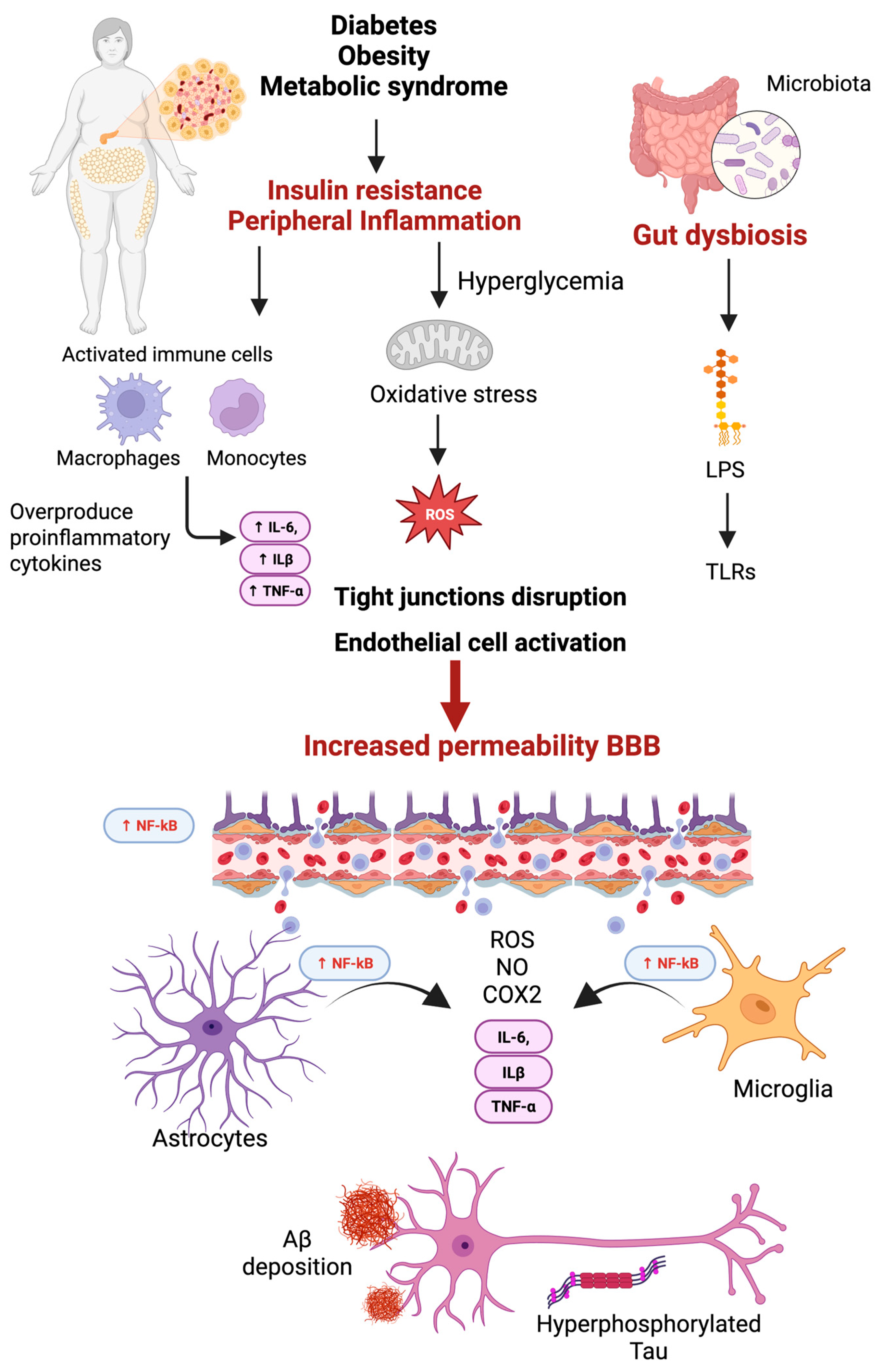 Ijms 26 04209 g003 Ijms 26 04209 g003
