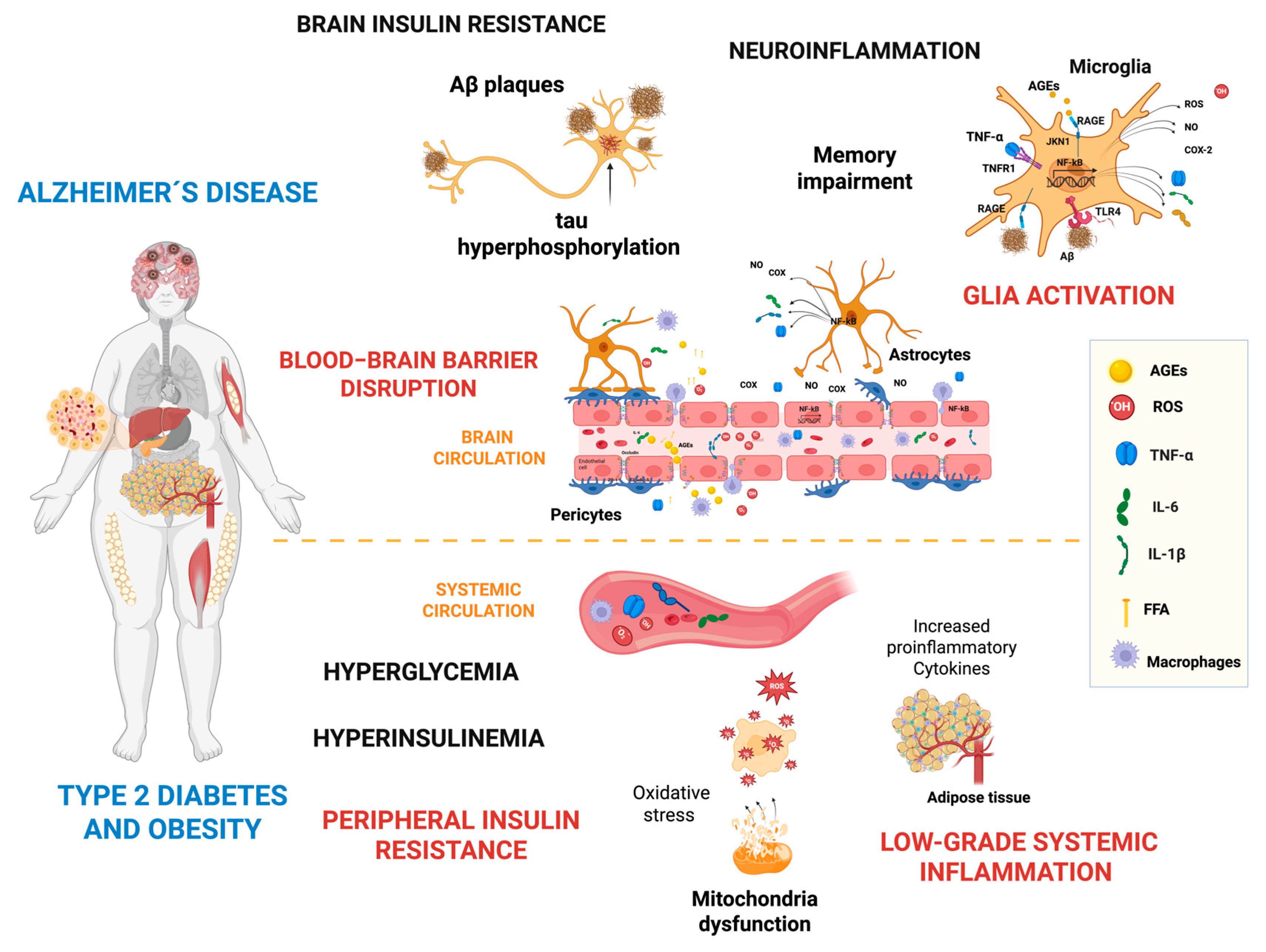 Ijms 26 04209 g006 Ijms 26 04209 g006