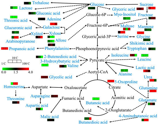 Comprehensive Analysis of Metabolites and Biological Comprehensive Analysis of Metabolites and Biological