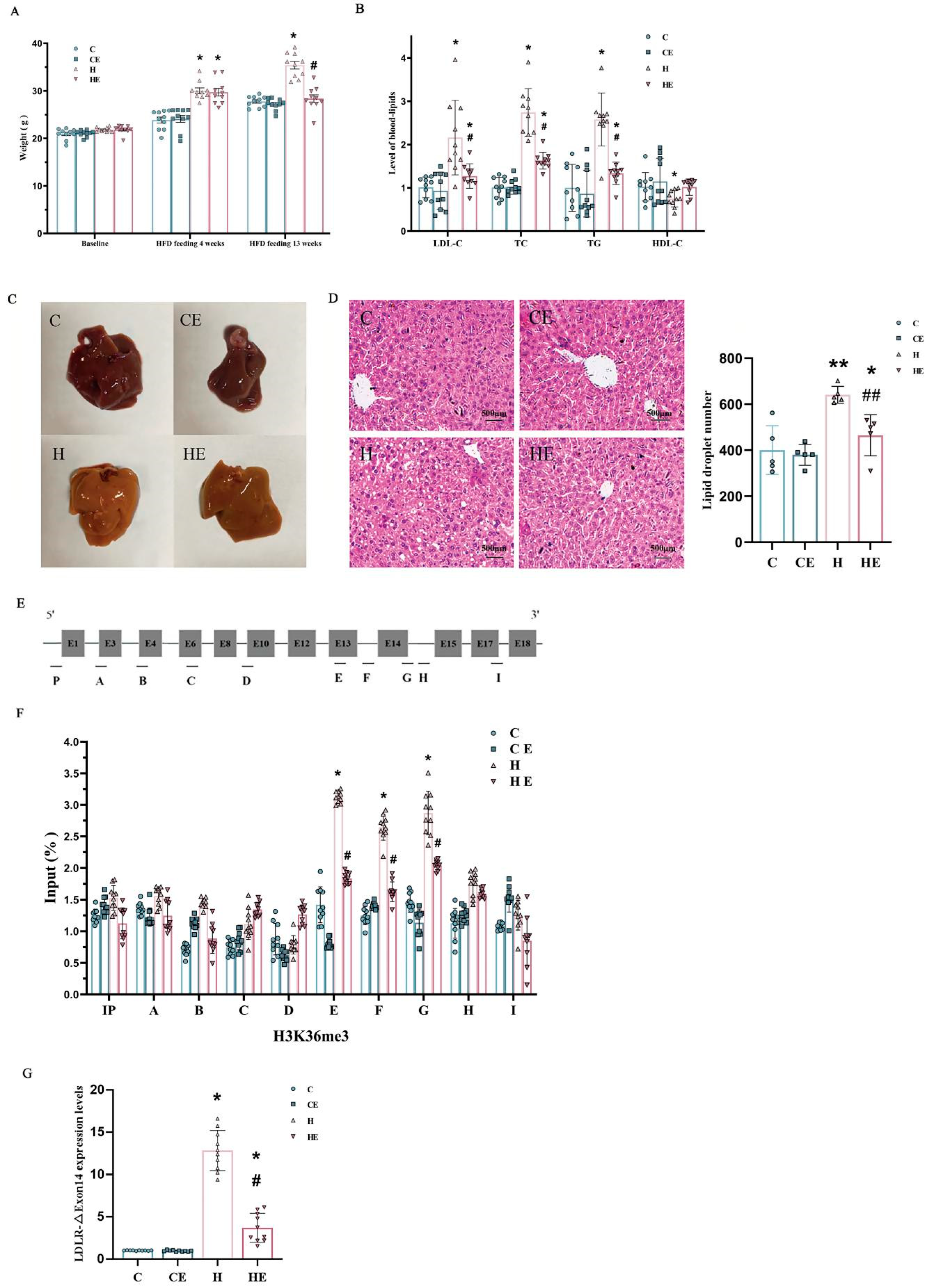 Ijms 26 04262 g003 Ijms 26 04262 g003