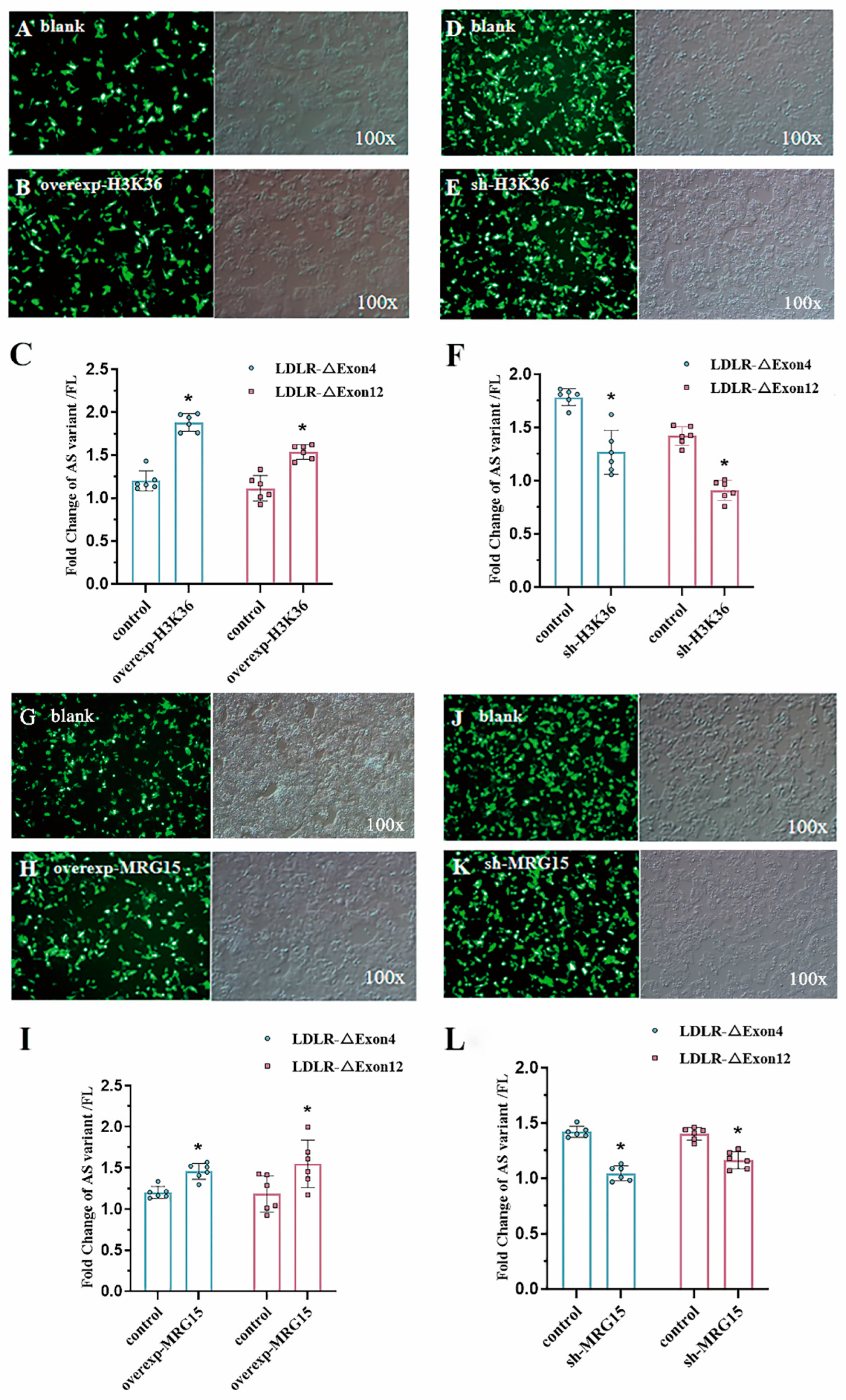 Ijms 26 04262 g005 Ijms 26 04262 g005