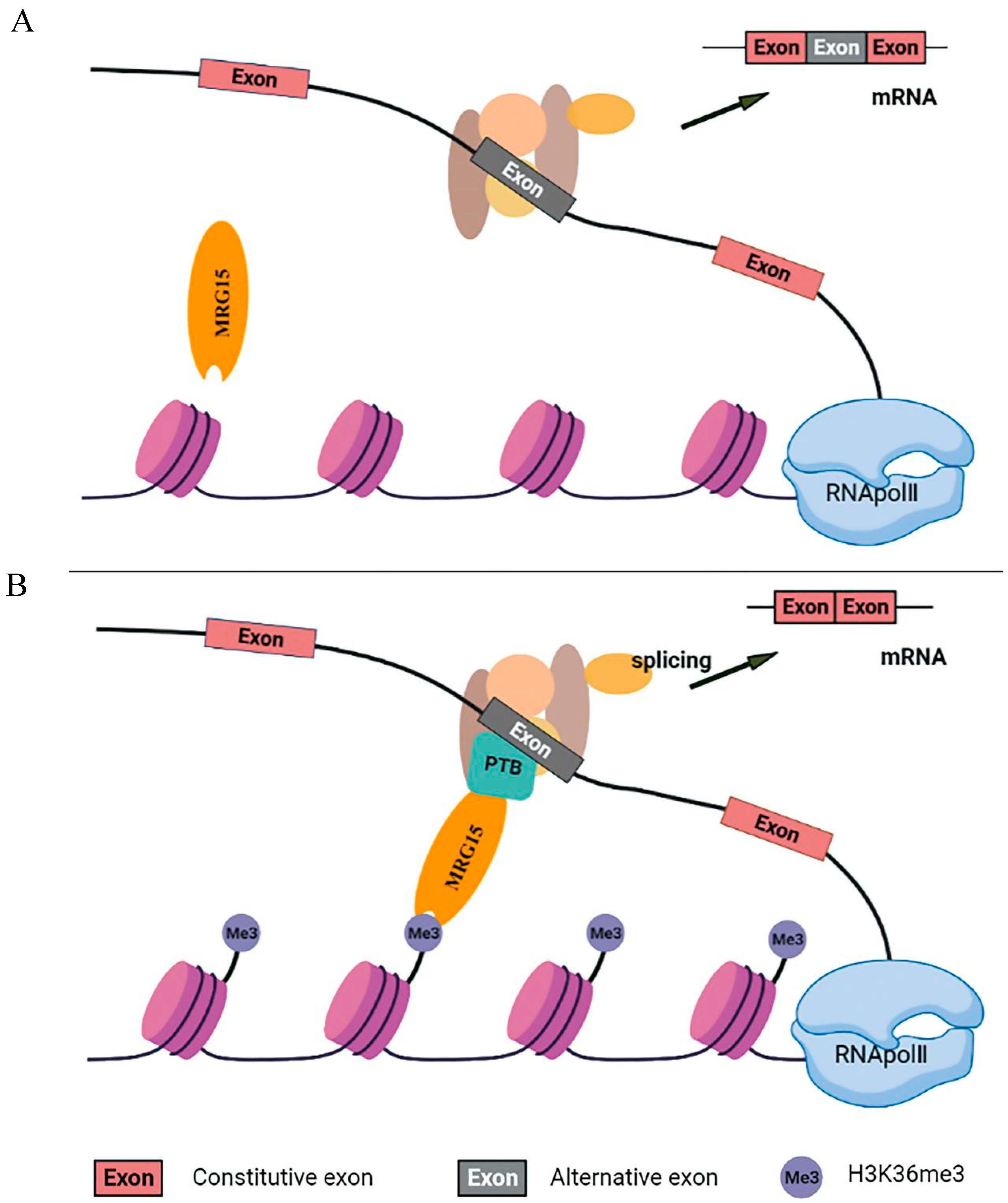 Ijms 26 04262 g006 Ijms 26 04262 g006
