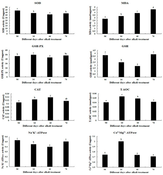 Association of toll-like receptors single nucleotide